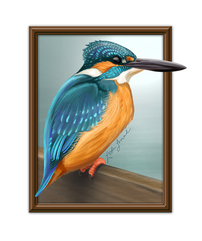 2026 Birbfest - 25 Common Kingfisher copy.png
