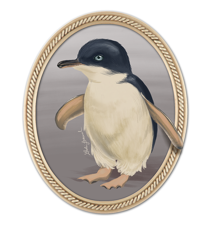 2026 Birbfest - 28 Little Penguin copy.png