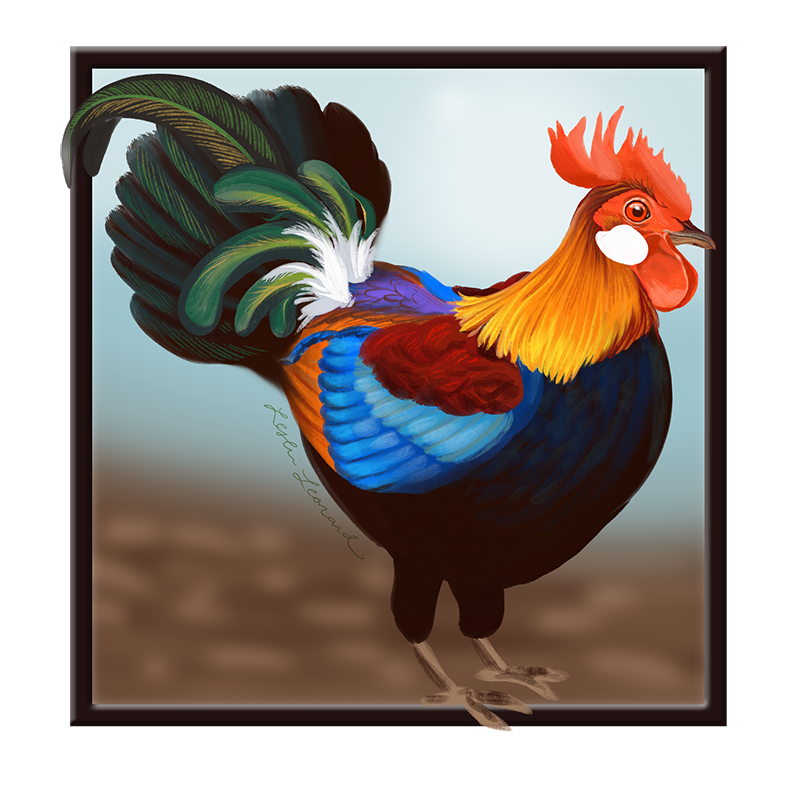 2026 Birbfest - 29 Red Junglefowl copy.png