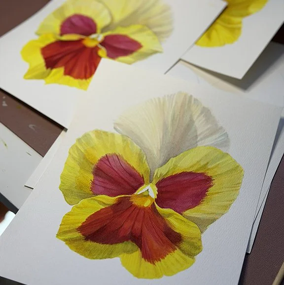 100 Day Project Update - The Halfway Point