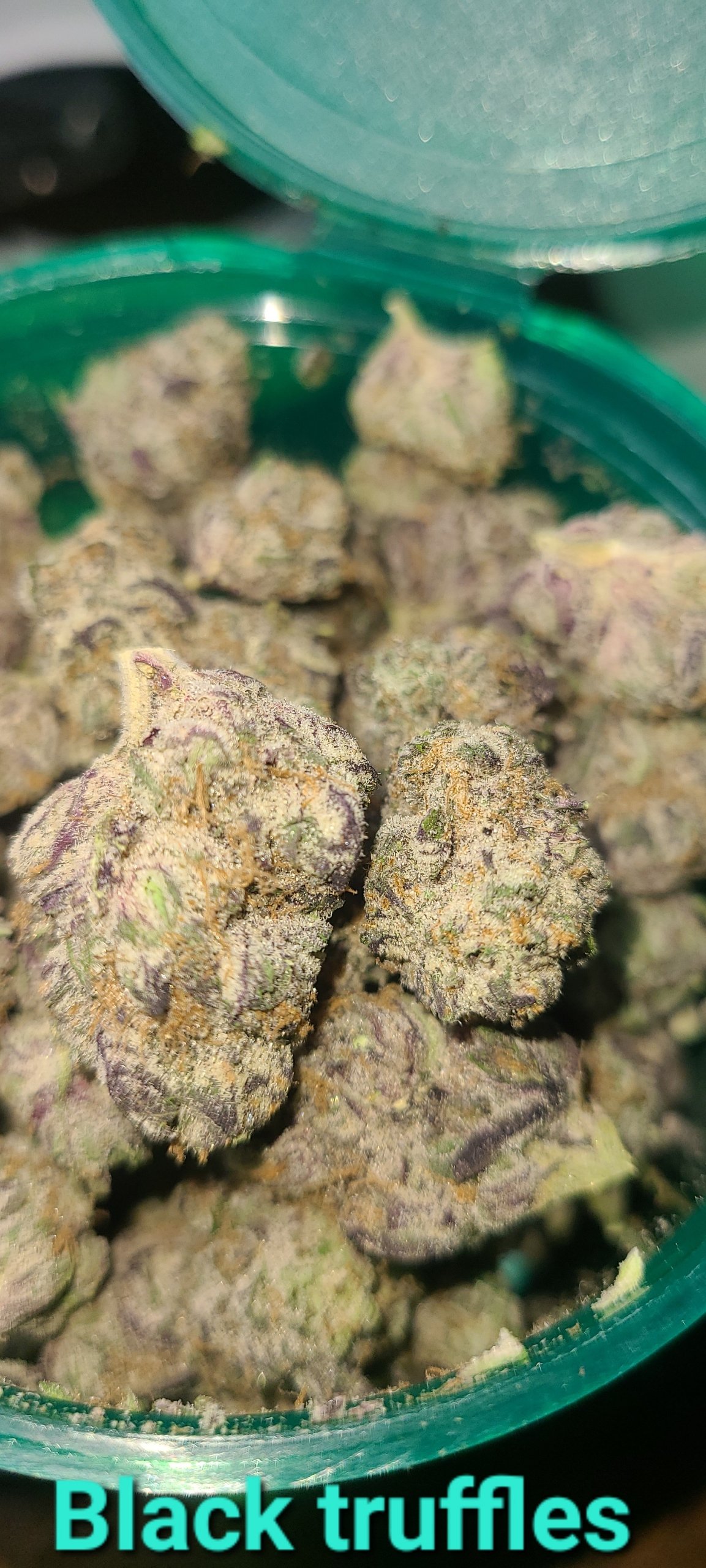 Black Truffle