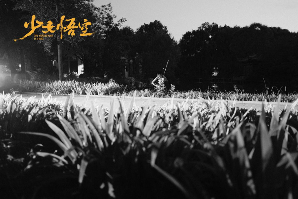 Screenshot 2026-02-10 at 12-58-46 (99 ) Queue Tumblr.png