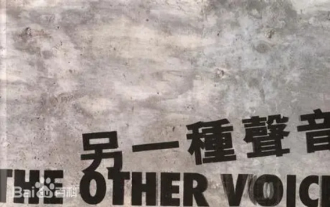 Another Voice (1999) 另一种声音