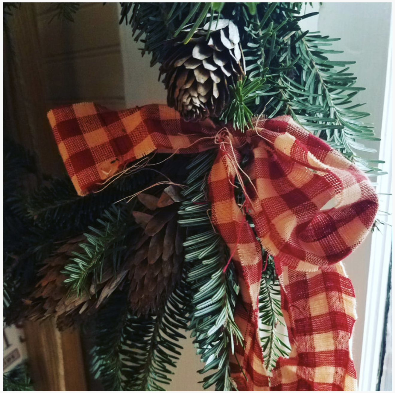 A Midwinter Herbaria