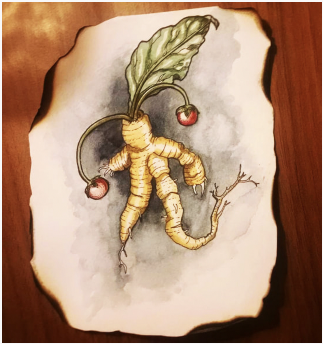 Dragon Dolls and Gallow's Men: Mandrake Madness