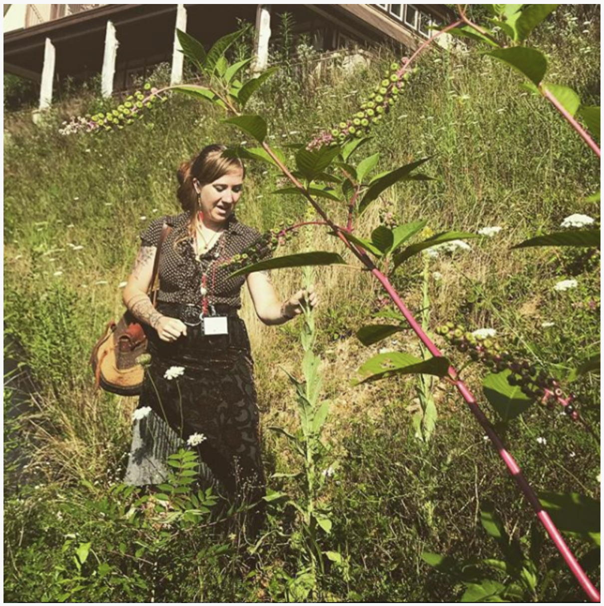 Goldenrod for Silver and Gold