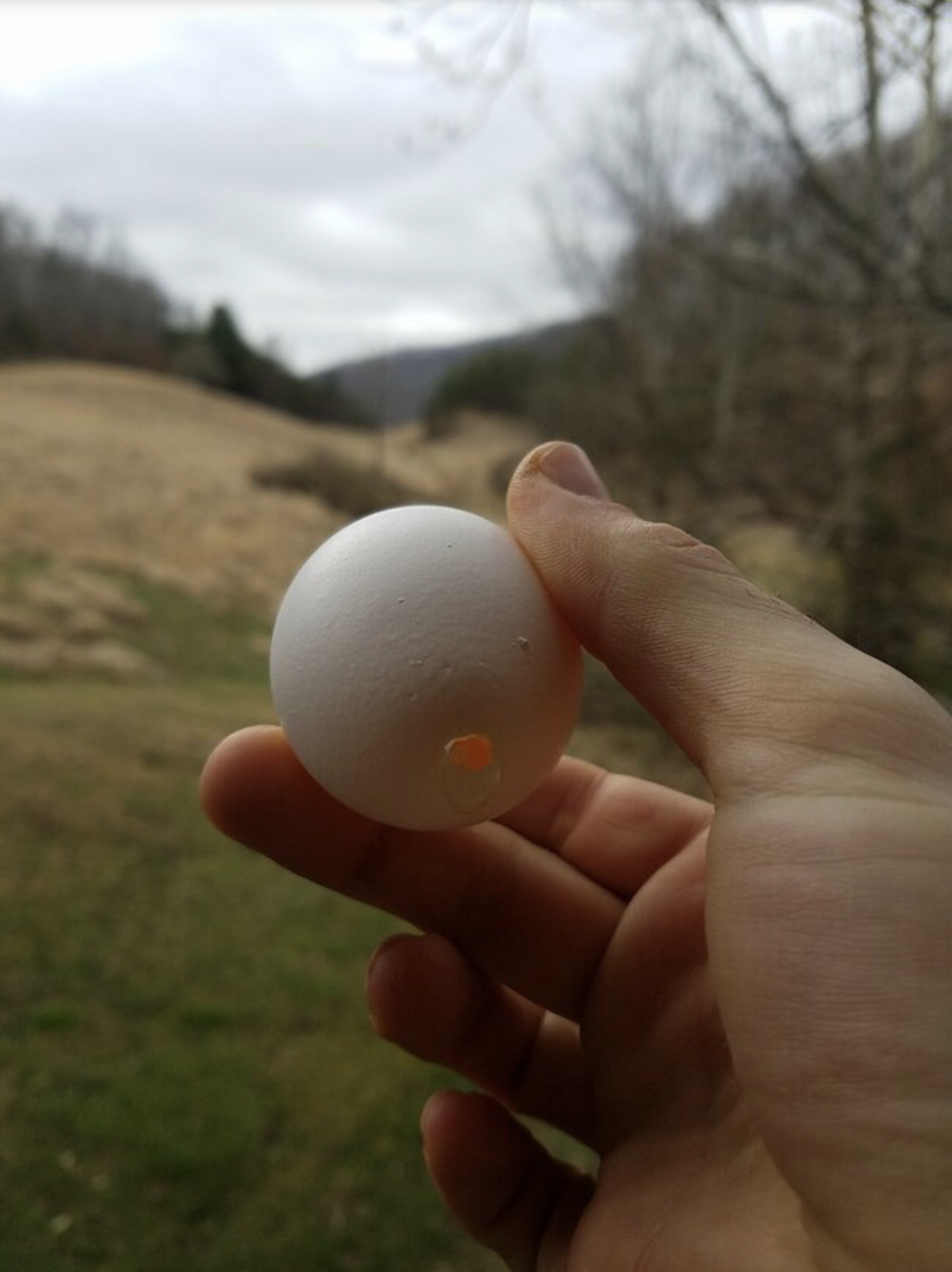 Egg Magics, the Spring Equinox and Planting by the Signs