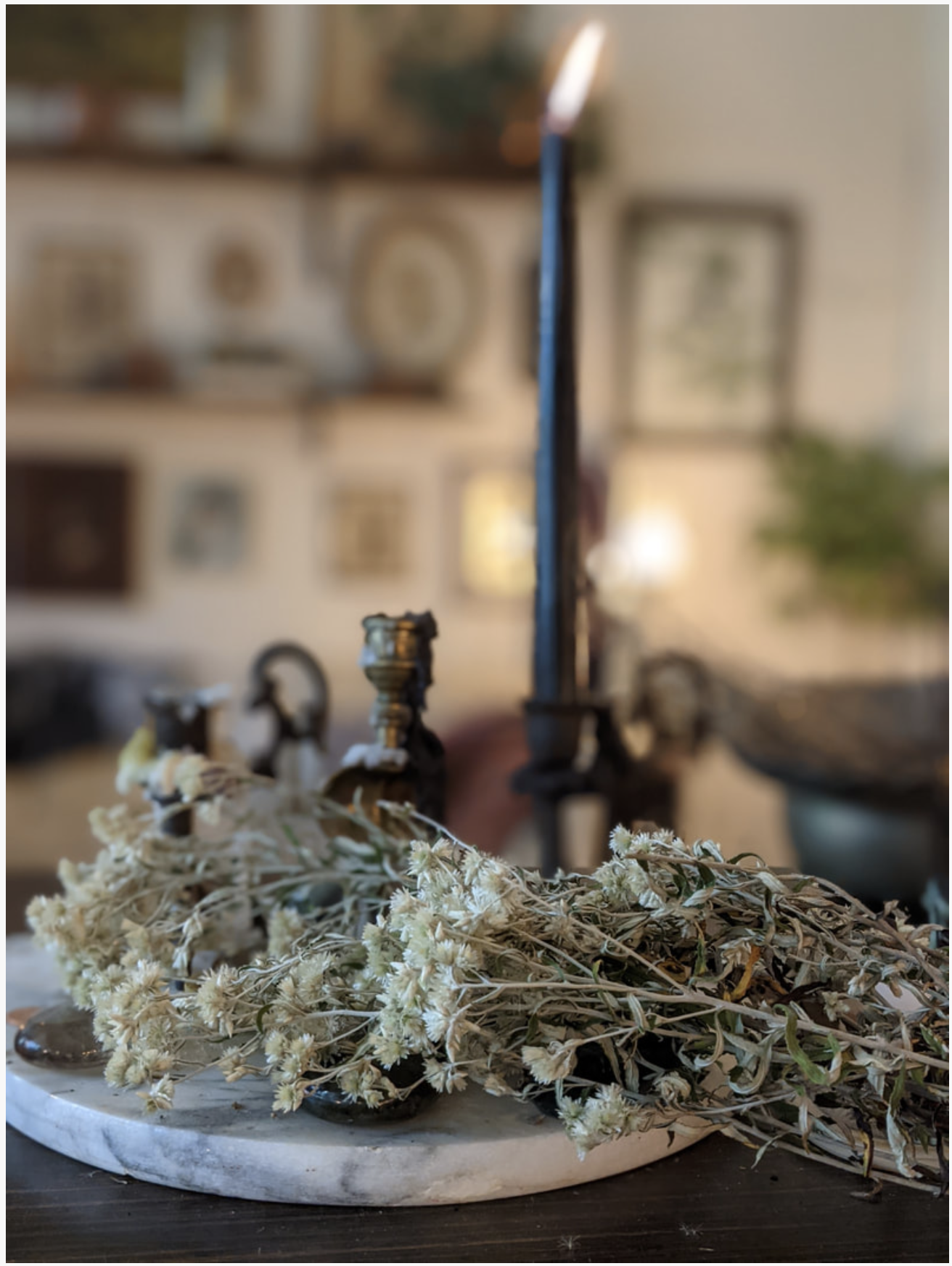 Life Everlasting and the Beauty of Rabbit Tobacco