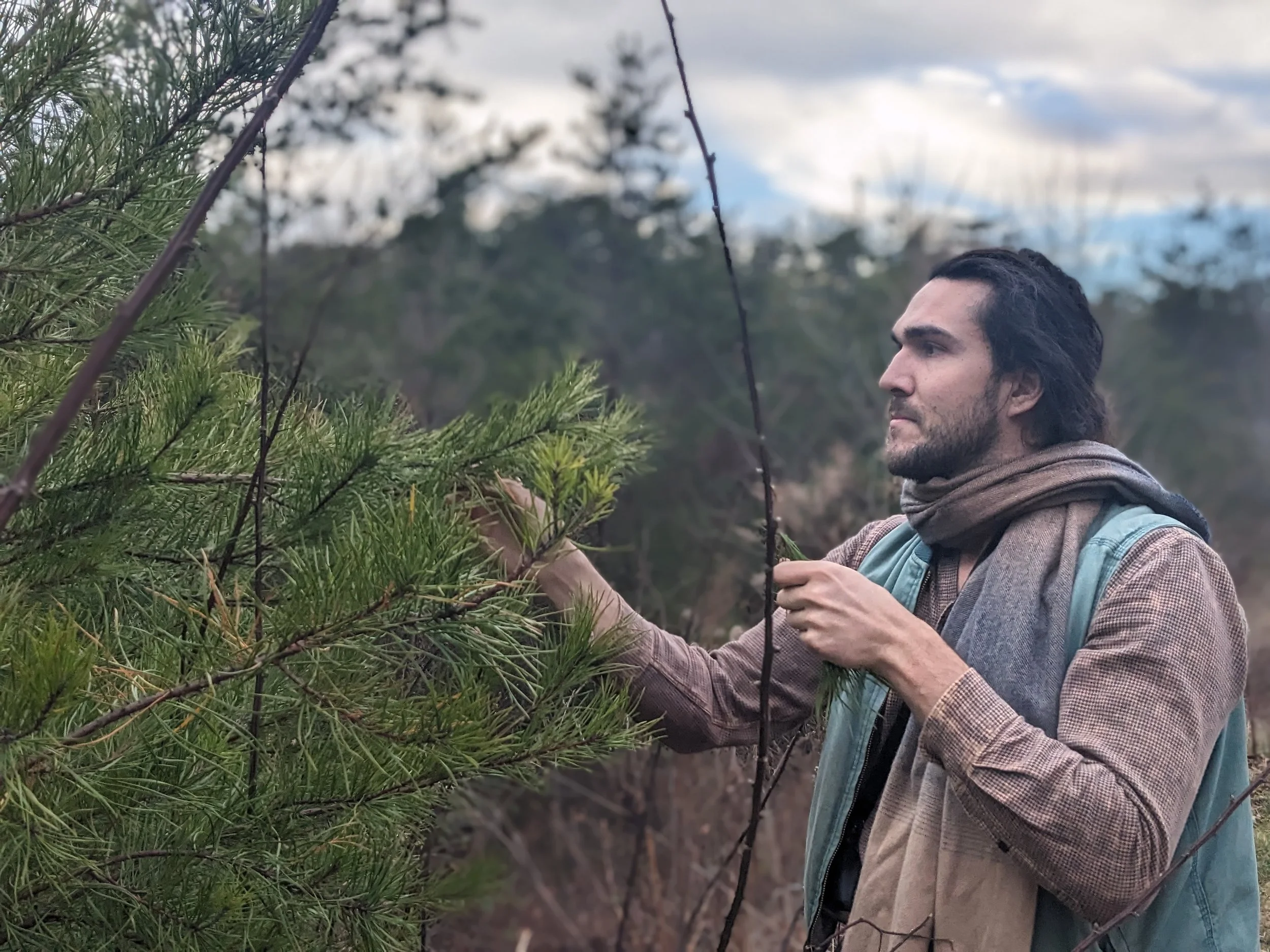 Daniel, a tall caucasion man with dark brown hair, dressed warmly and in a scarf for winter, harvests pine needles.