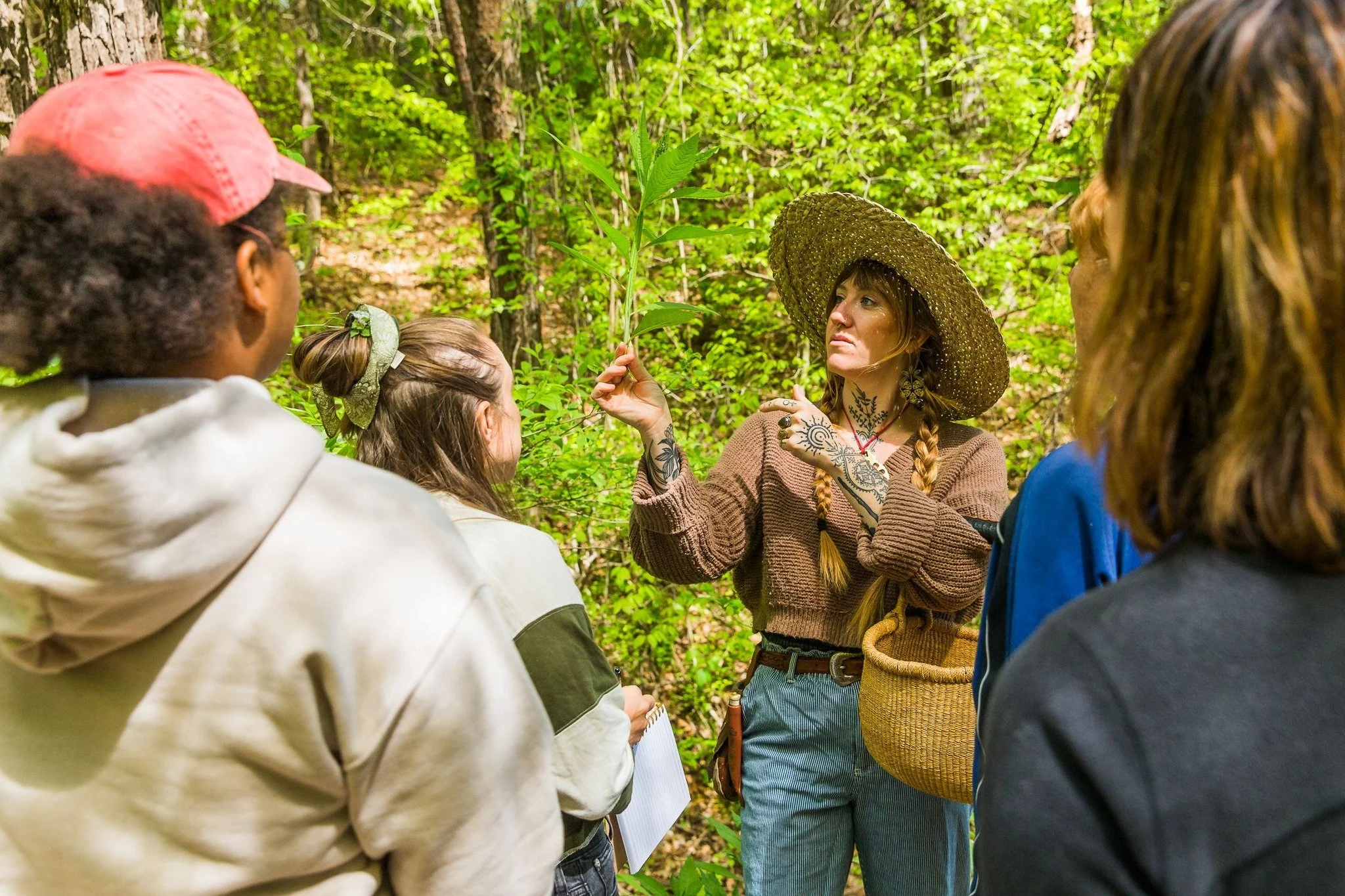A woman holds up a wingstem plant to teach three people with their backs to the viewer in an Appalachian forest.