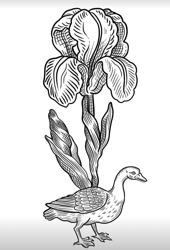 Screenshot 2026-02-06 at 2.03.13 PM.png