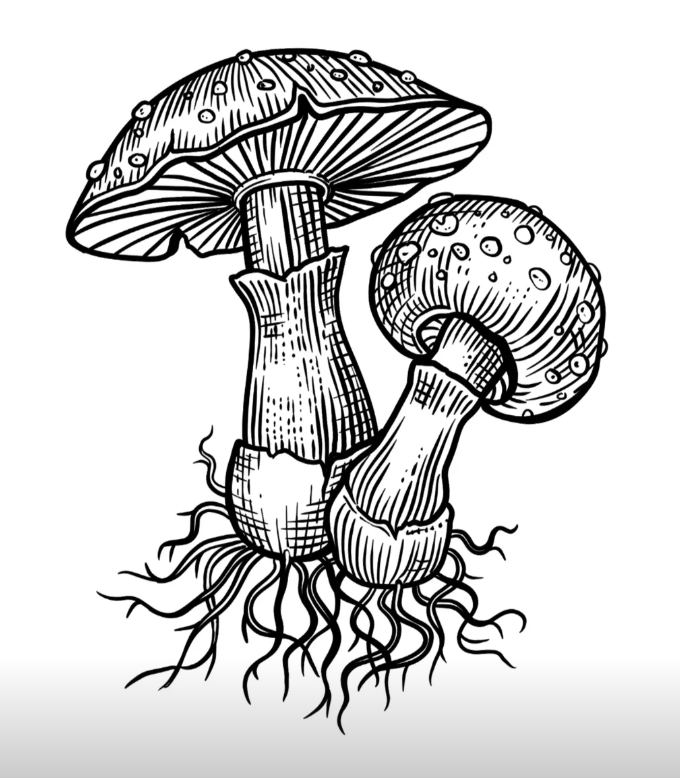 Screenshot 2026-02-06 at 2.03.58 PM.png