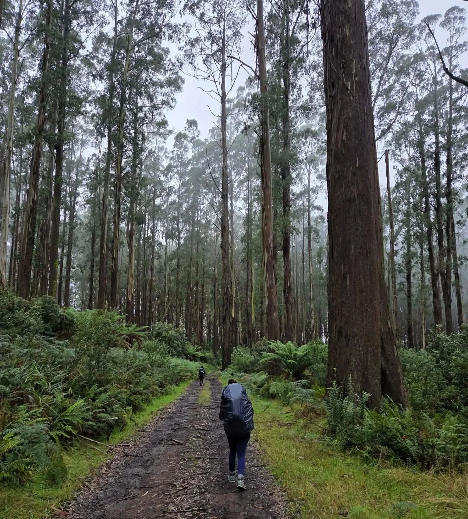 courage, out of the comfort zone