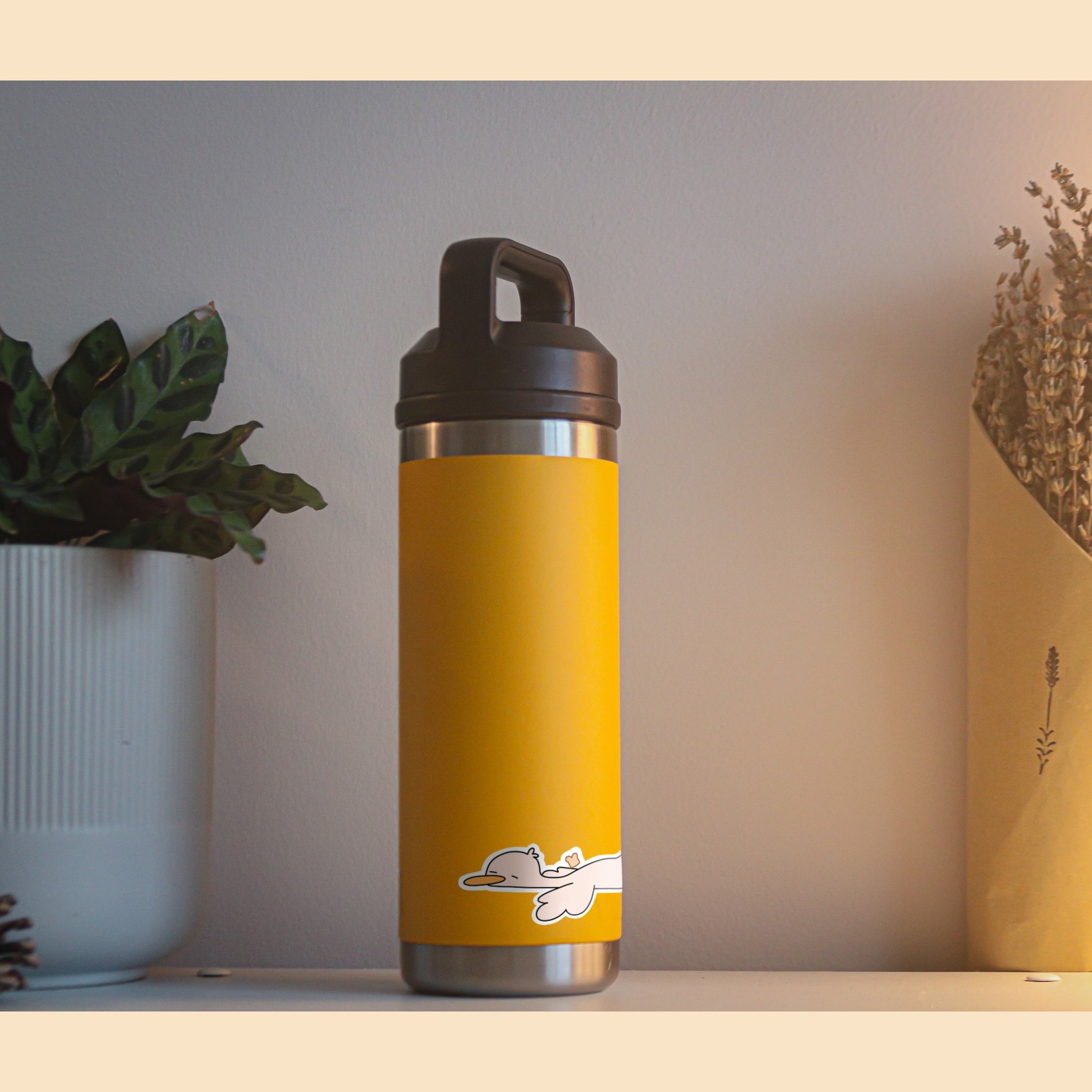 Sleepy Duck bottle.jpg