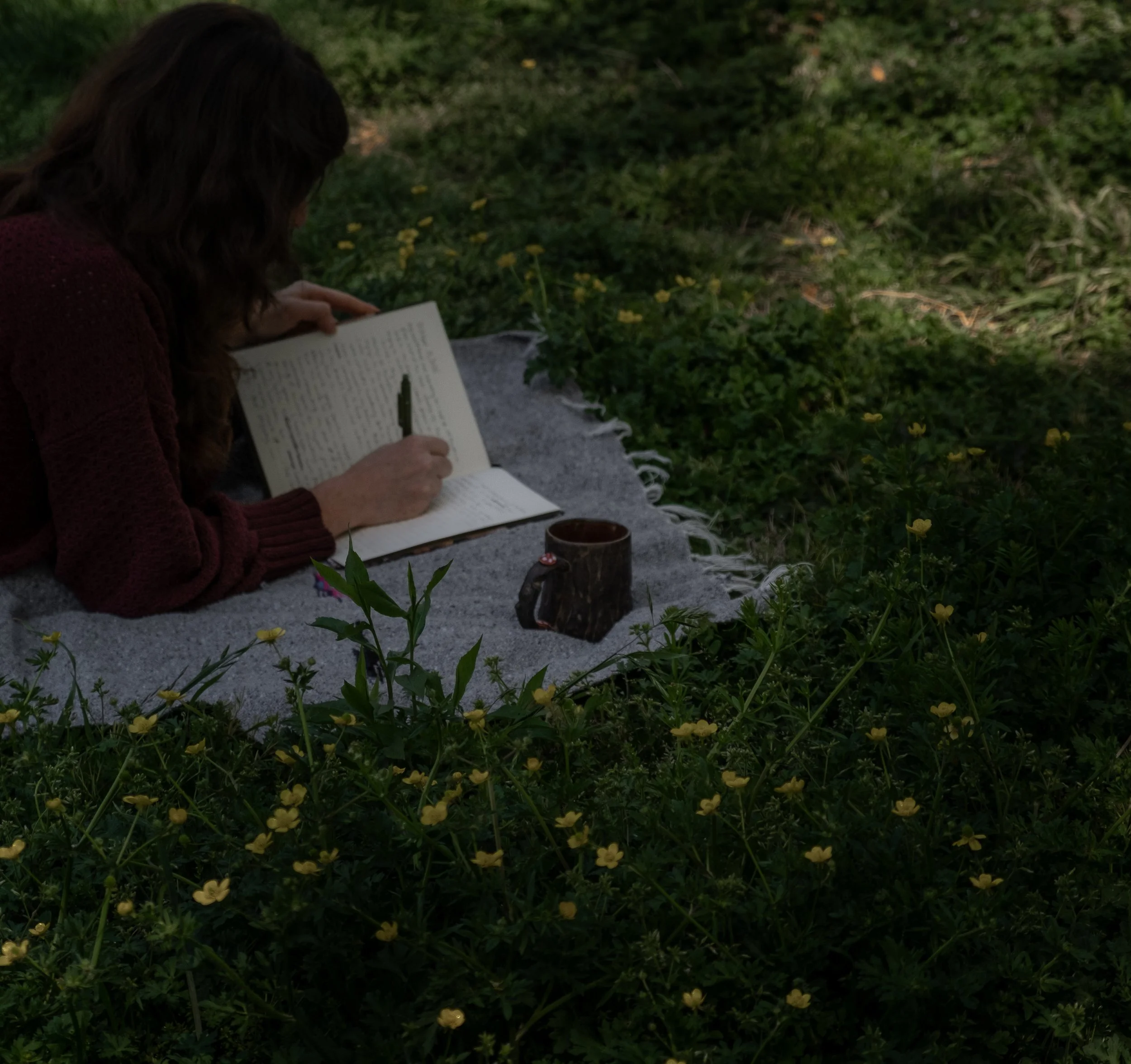 A.M. Diaries: An Introduction