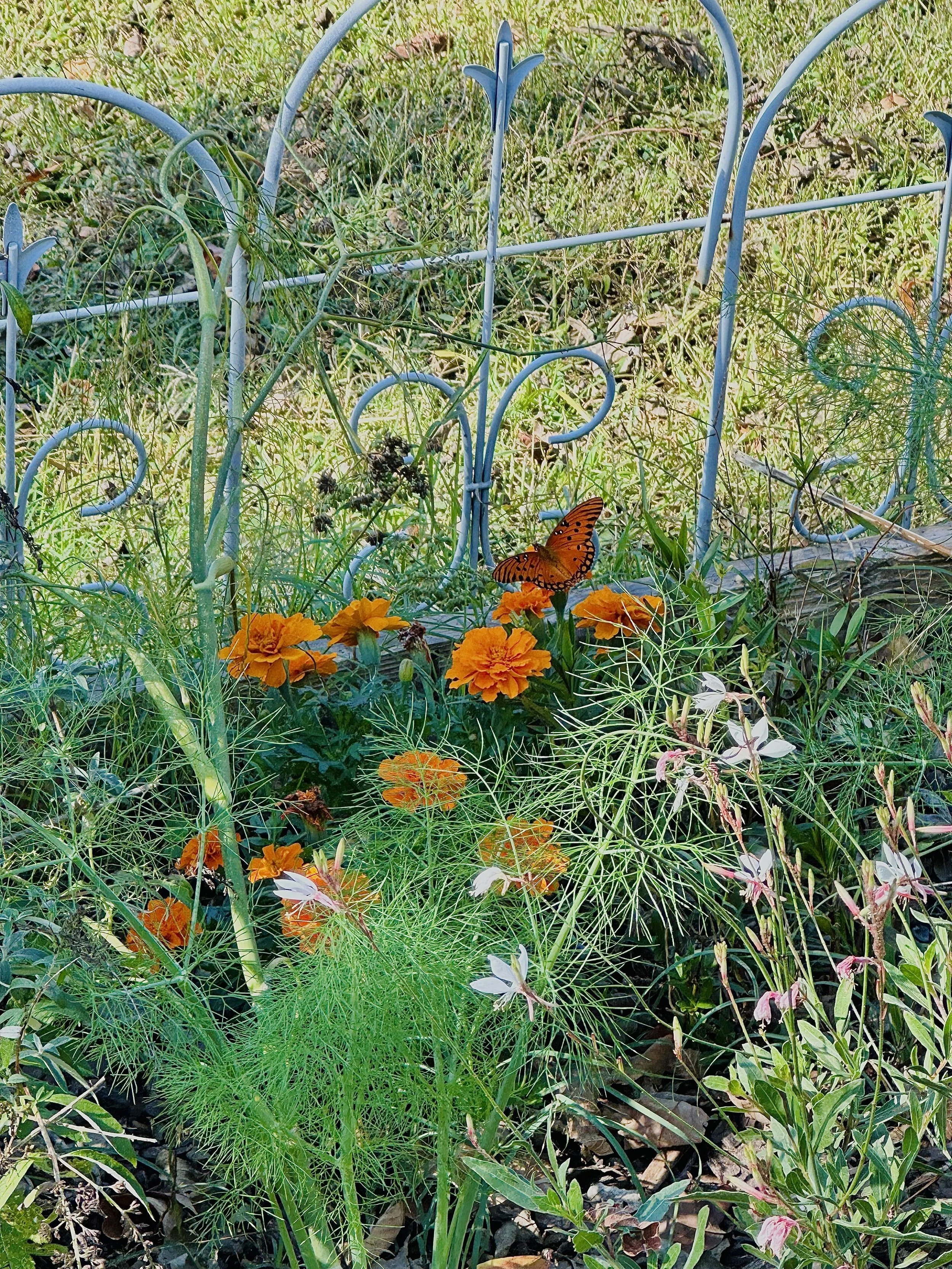IMG_8813 3.jpg