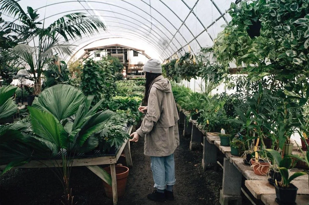 Tips to Living Sustainably: Daily &amp; as a Photographer