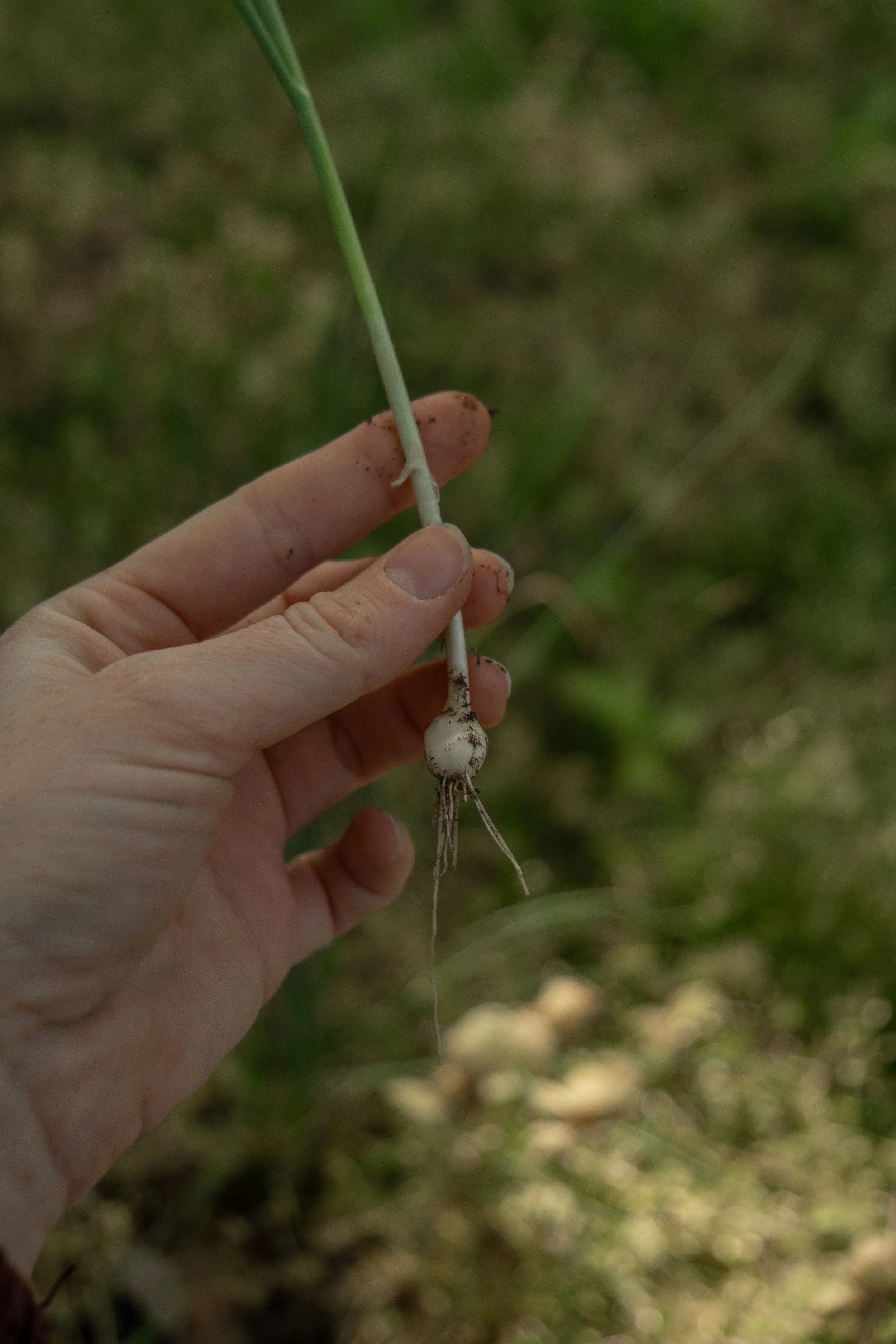 DSCF4504.jpg