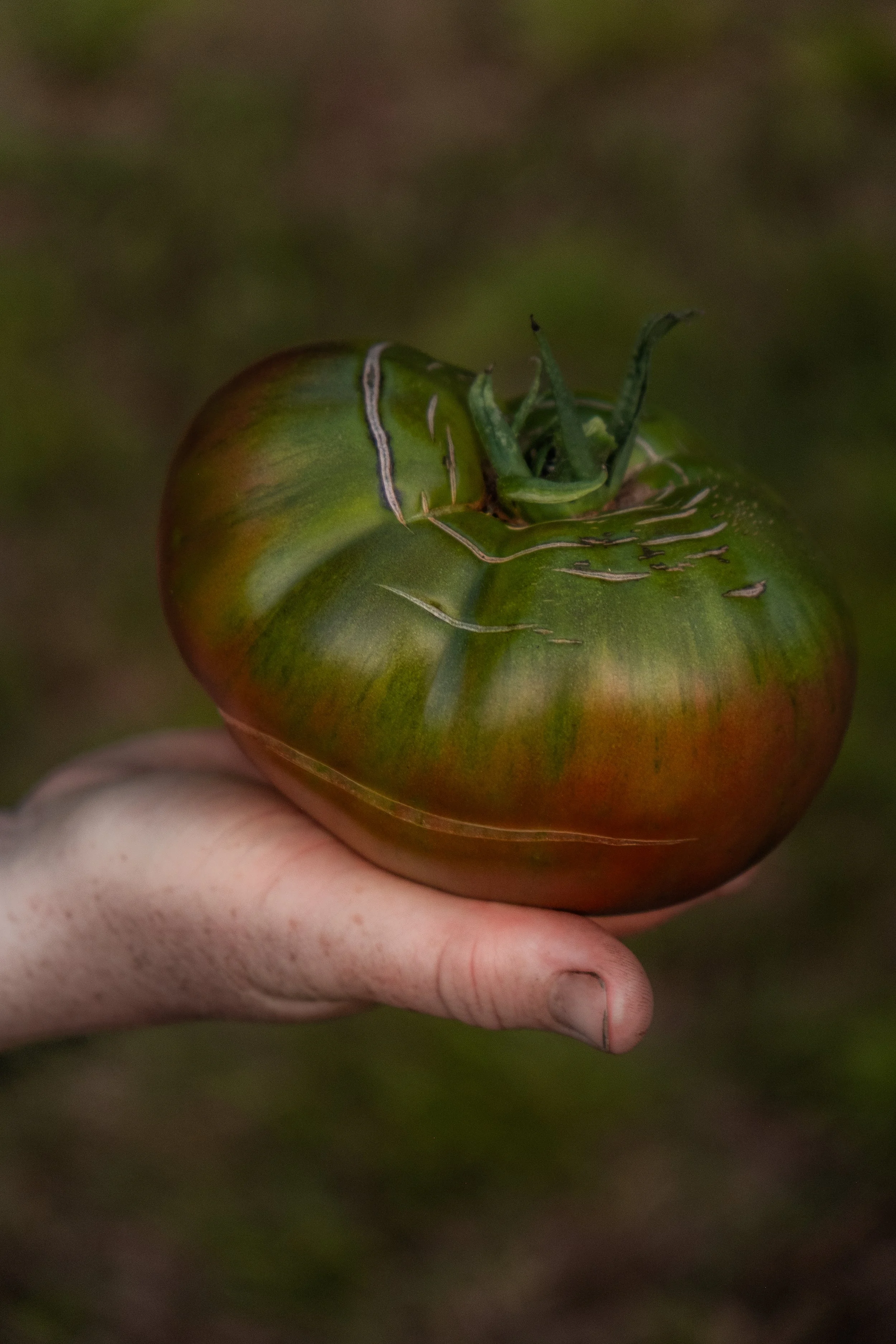 DSCF8586.jpg
