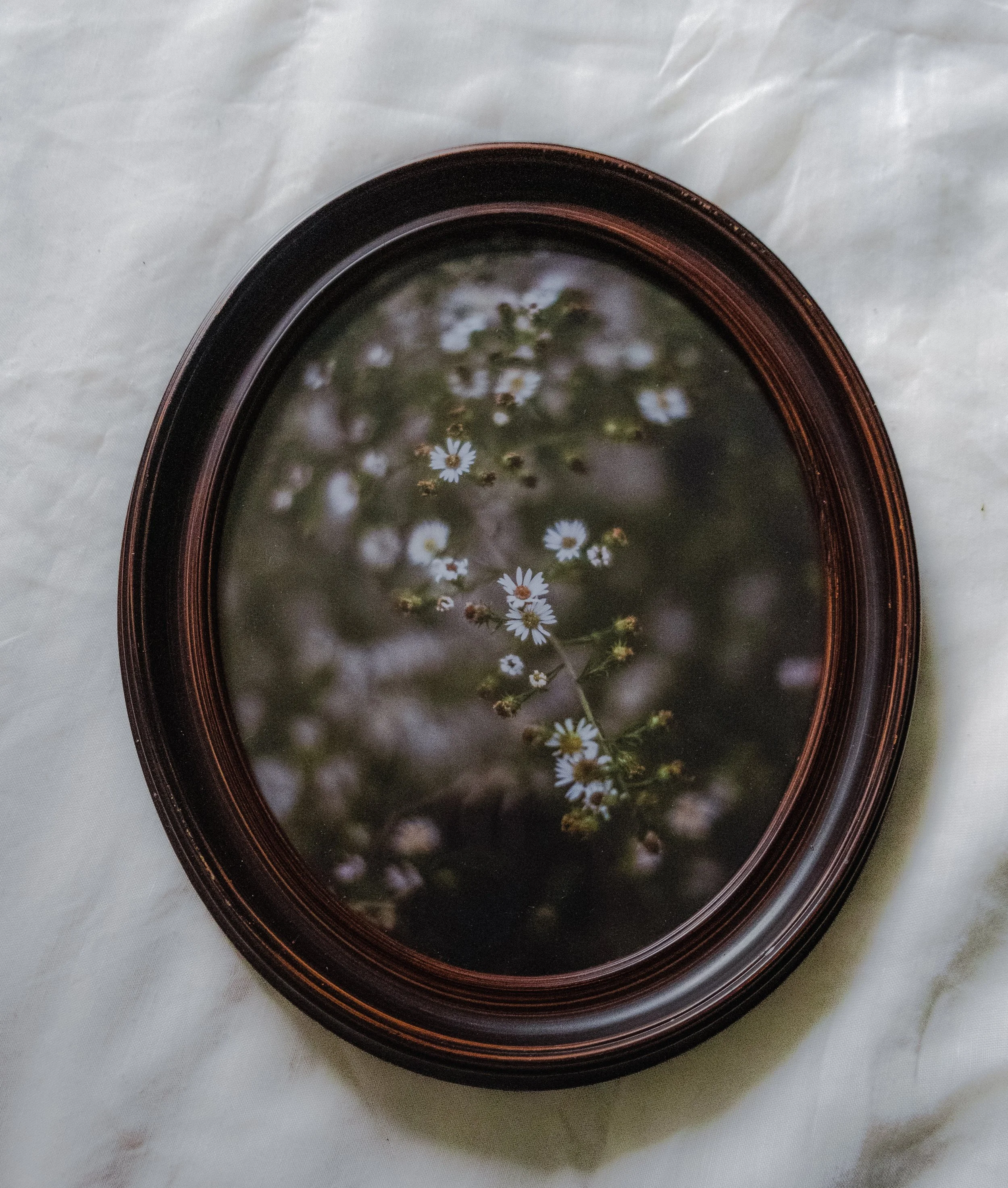 Wildflower Print + Wood Oval Frame