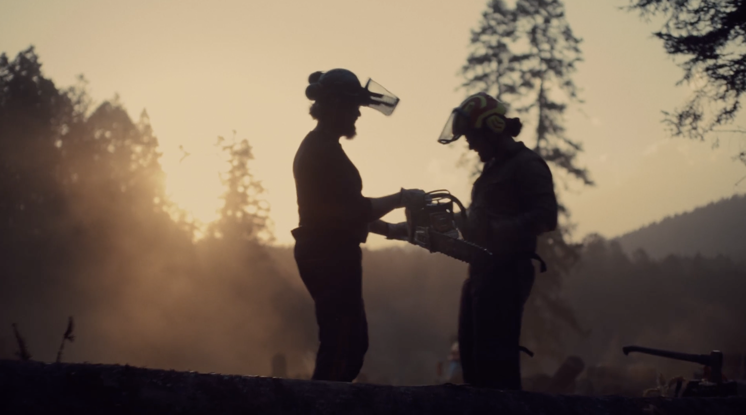 Stihl_2026.png