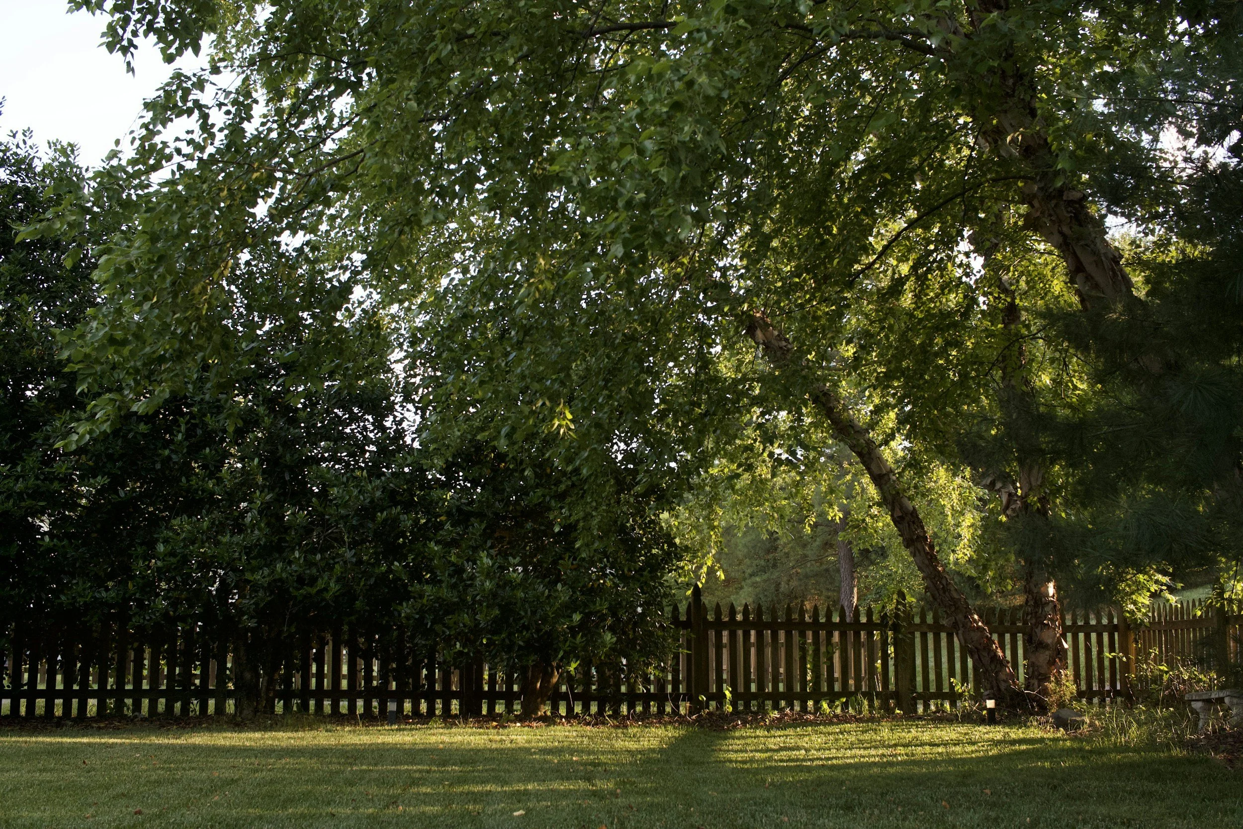 Cedar Fence Installation in Englewood, CO: Why Cedar Is the Best Choice for Colorado Homeowners