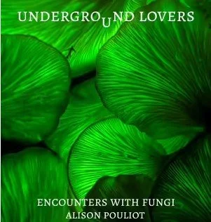 Episode 3: fantastic fungi with Alison Pouliot