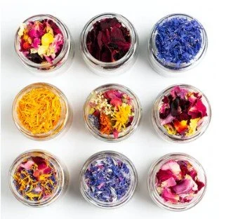 Episode 10: Edible flowers with Lauren from Foraged Flavour