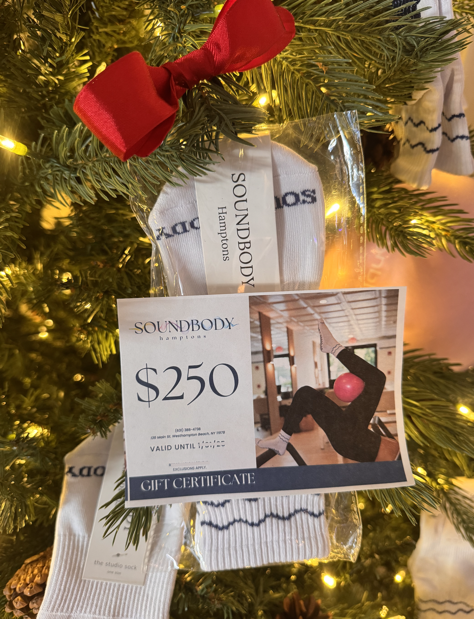 Screenshot 2025-12-22 at 1.51.05 PM.png