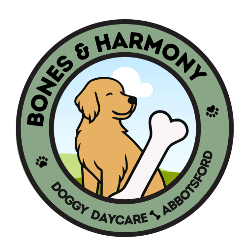 Bones &amp; Harmony