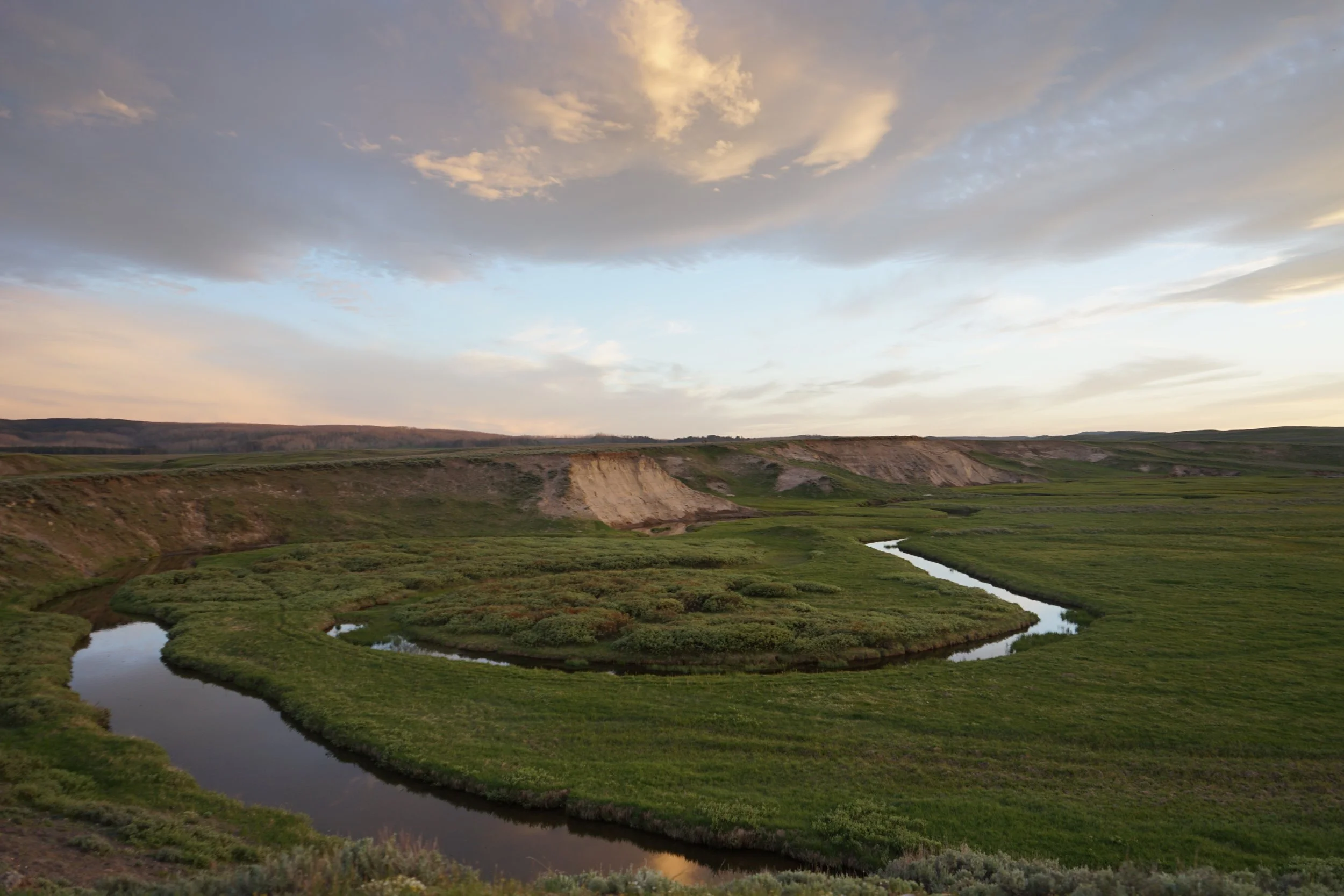 Trout Creek, Yellowstone National Park