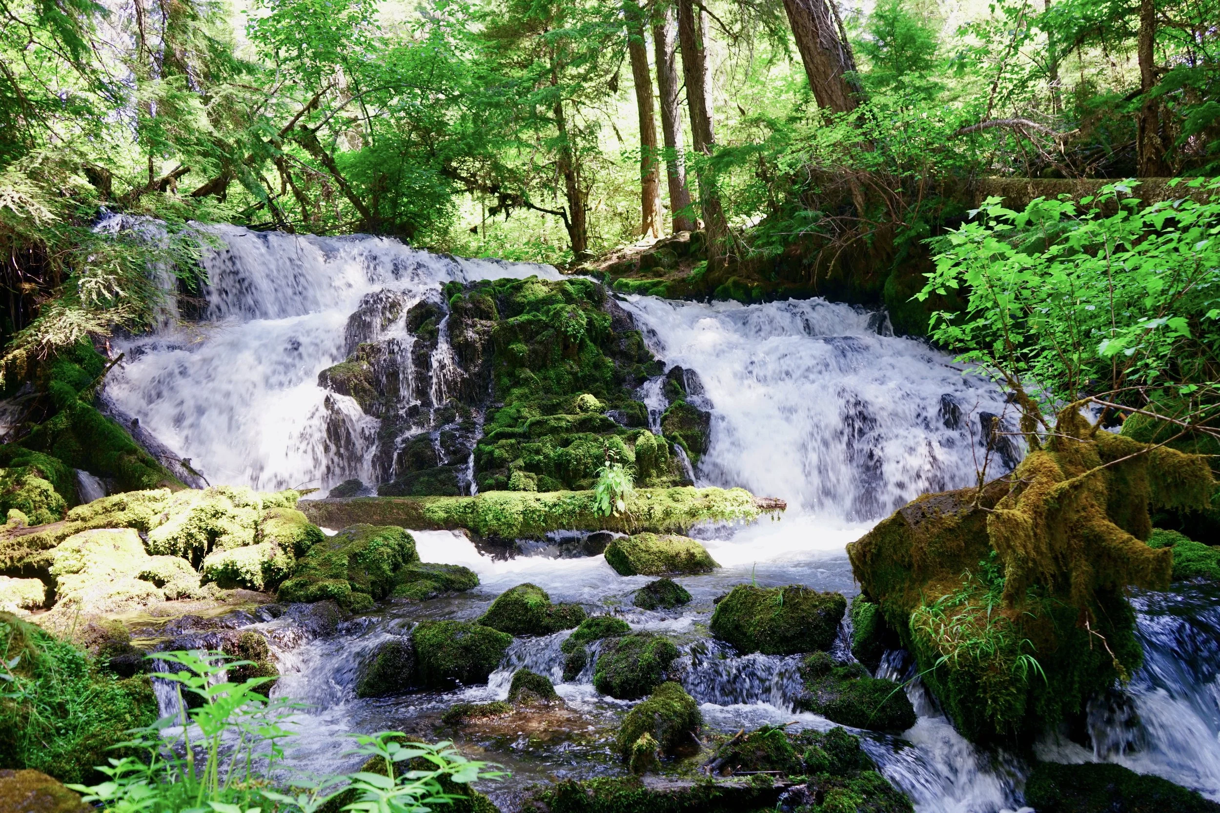 Pearsony Falls, Oregon