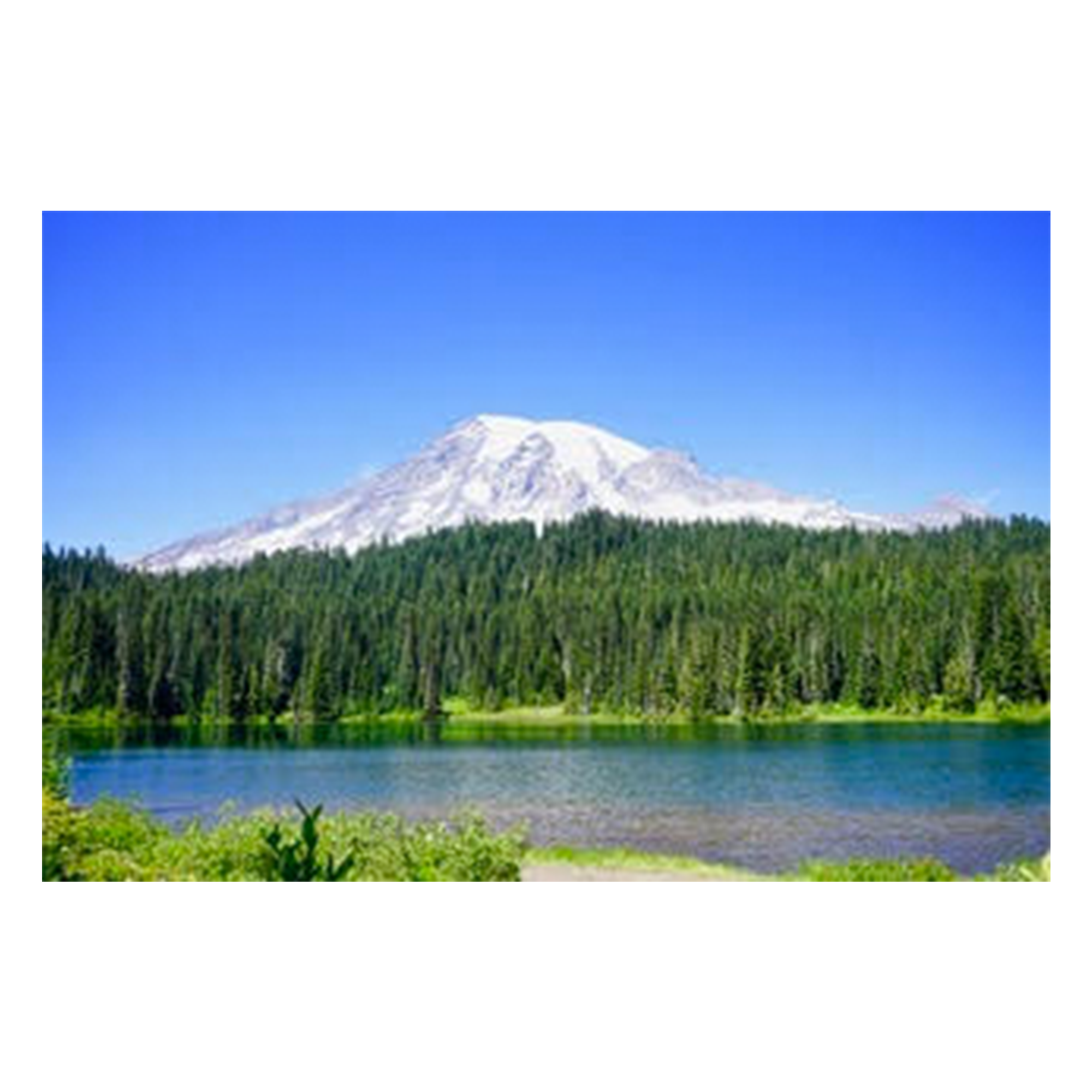Mount Rainier