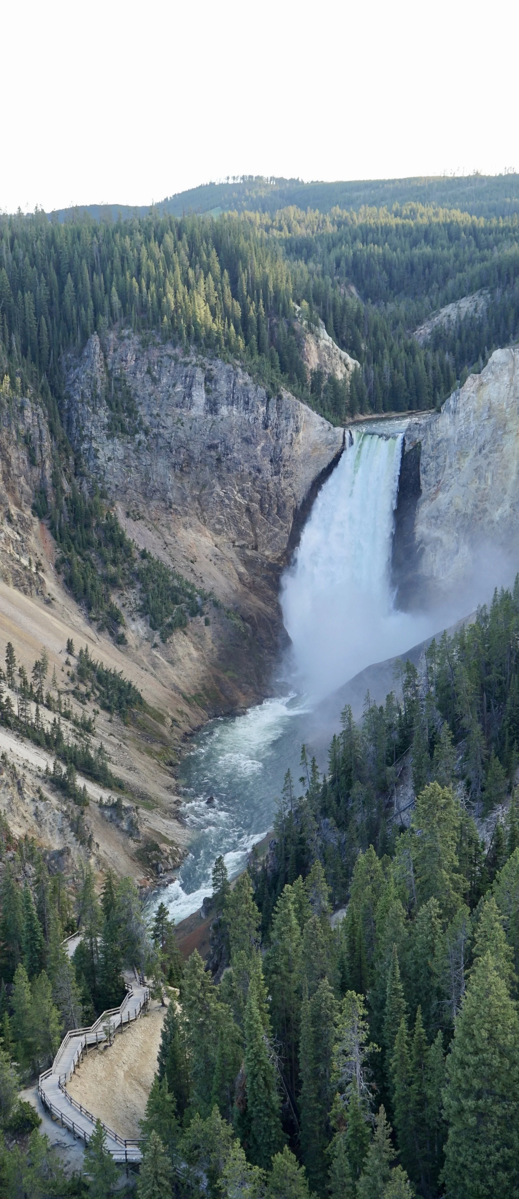 Lower Yellowstone Falls