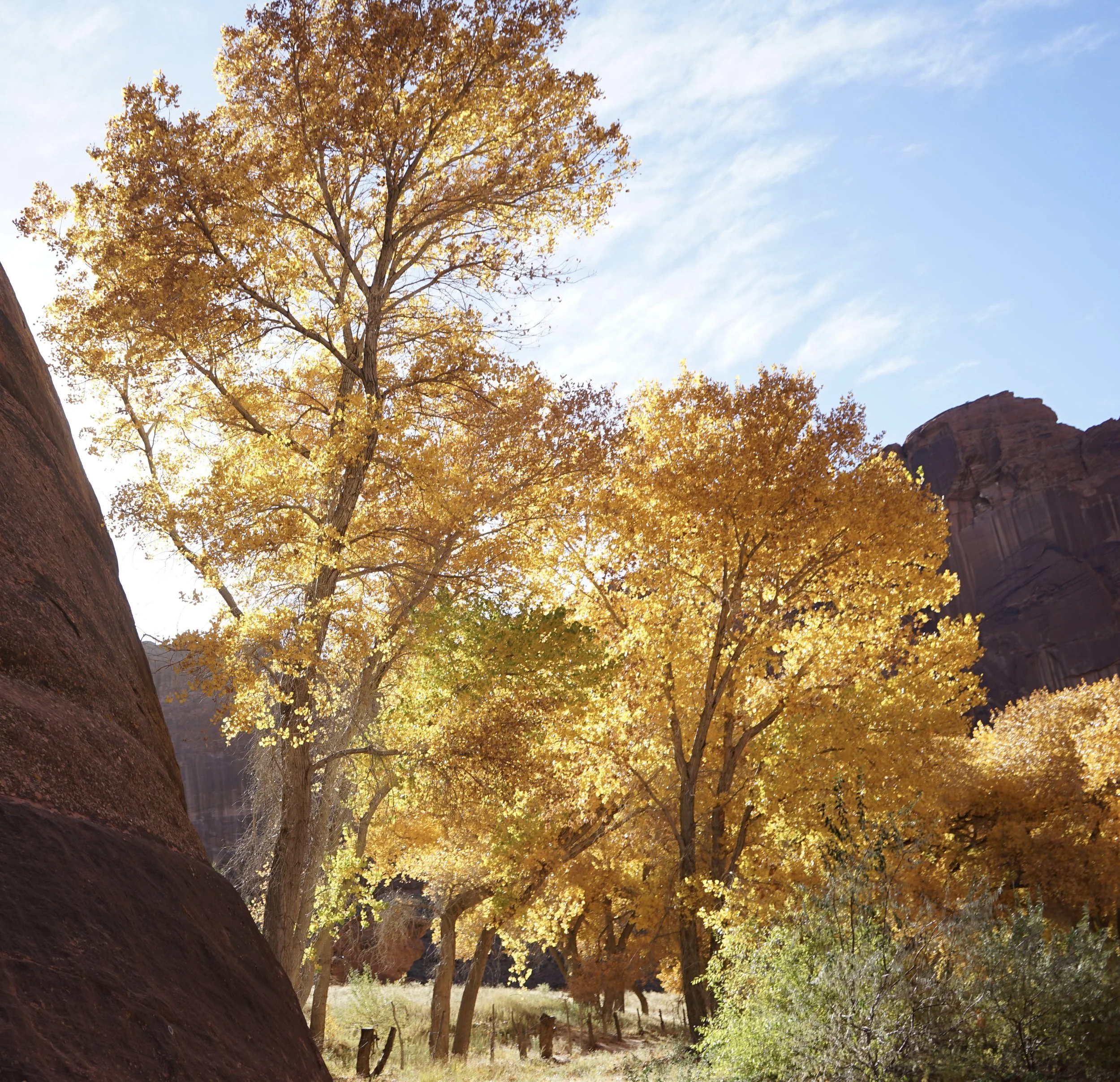 Canyon de Chelly, Arizona