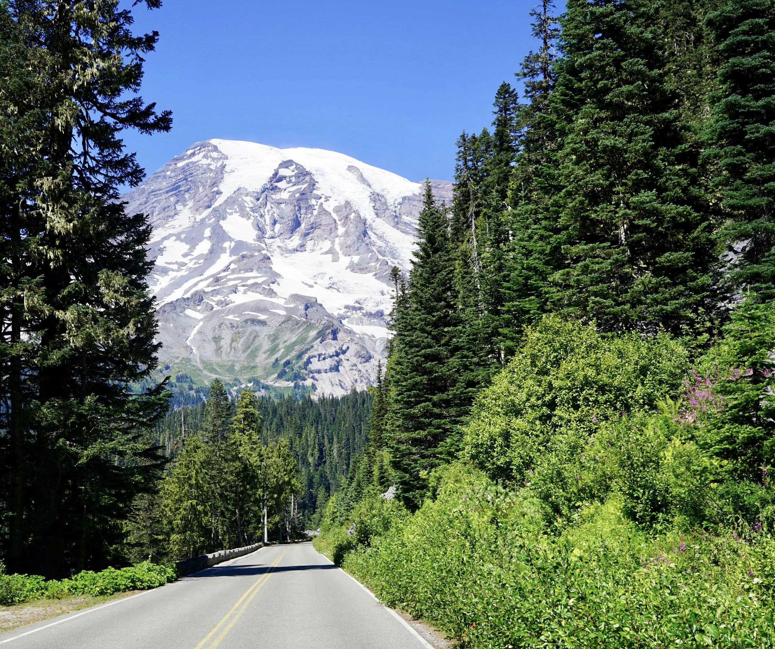 Mount Rainier (2)
