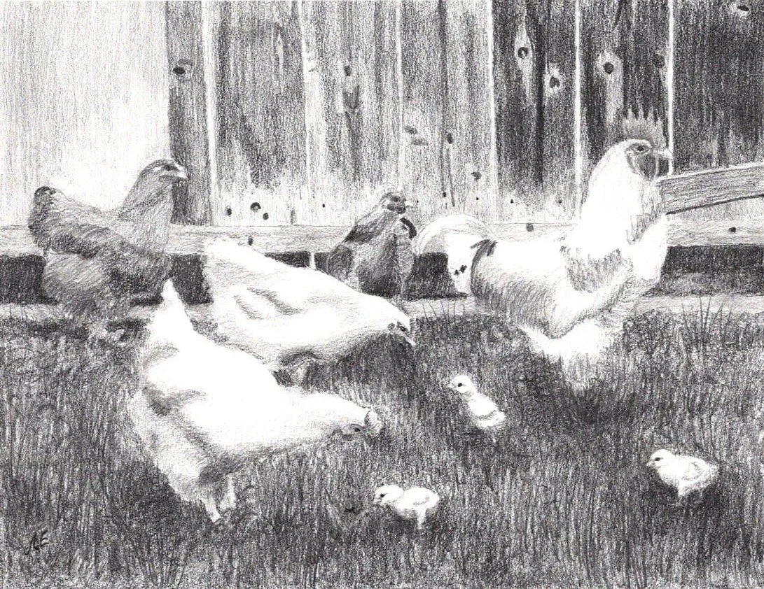 Scan 84.jpeg