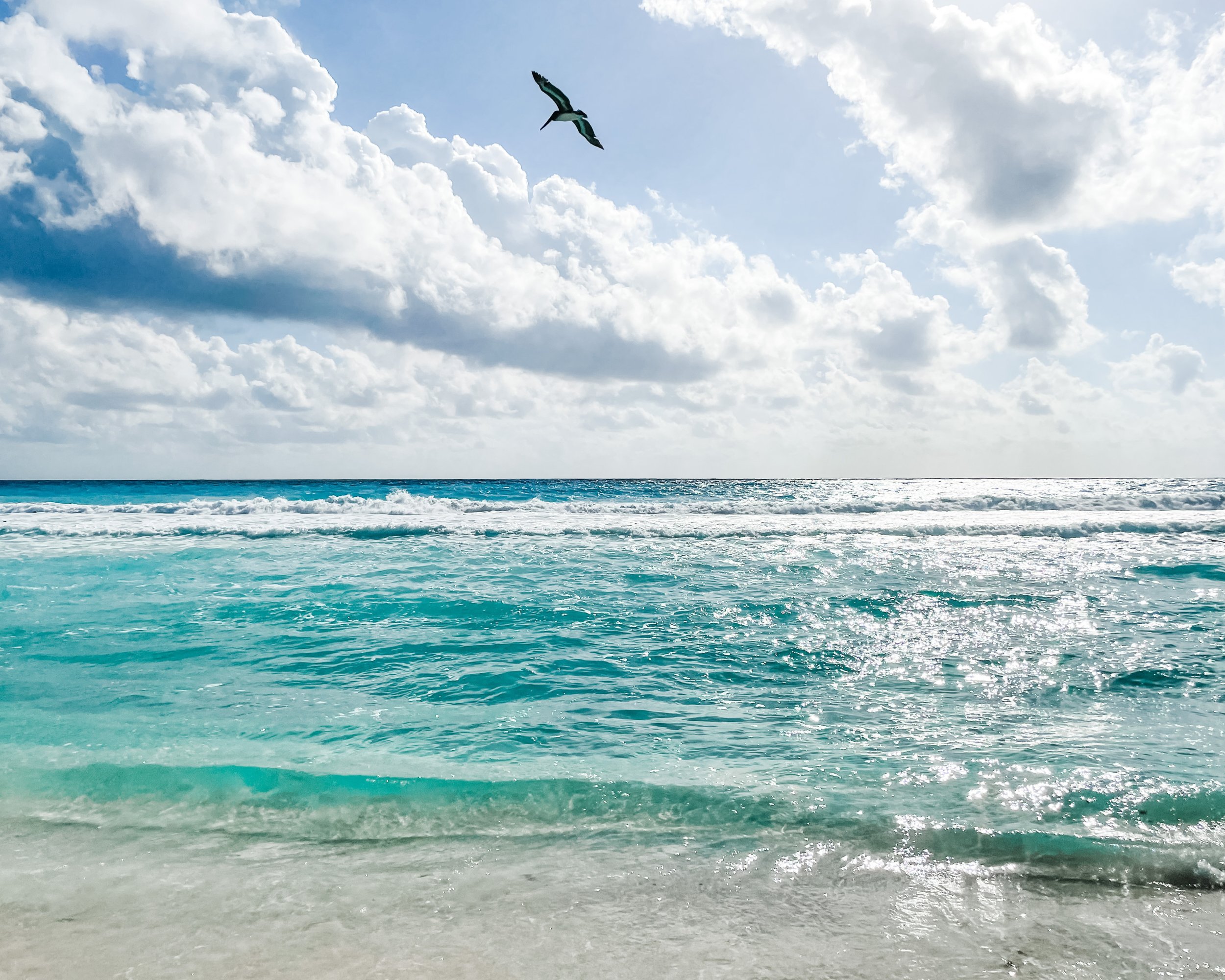 4x5 ratio_TheSea.jpg