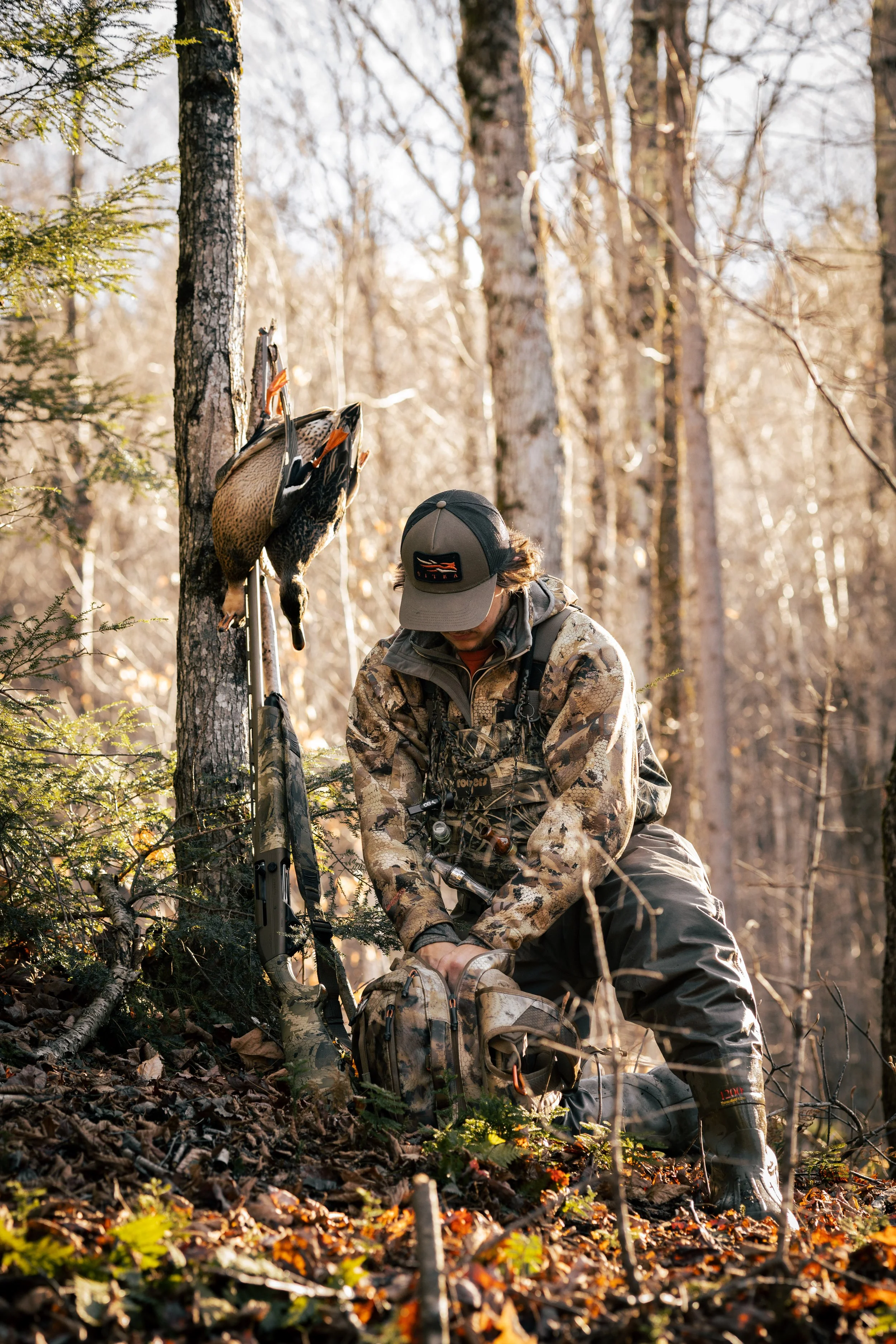 ROYCE-SITKA-05.jpg