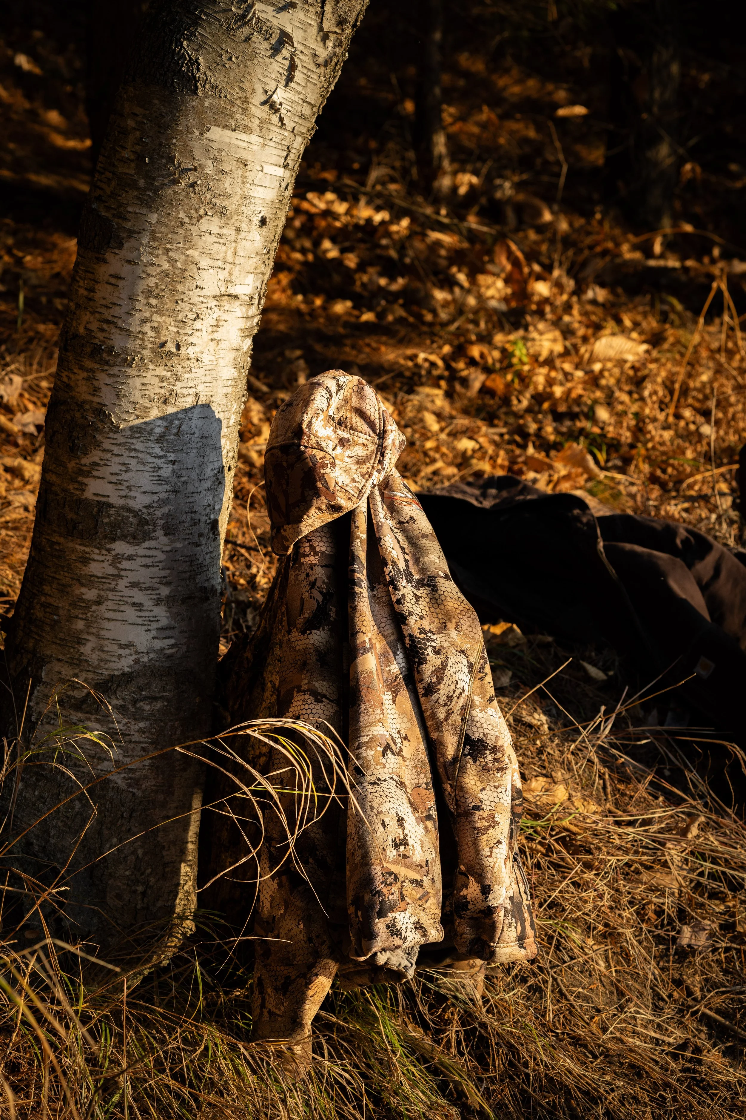 ROYCE-SITKA-61.jpg