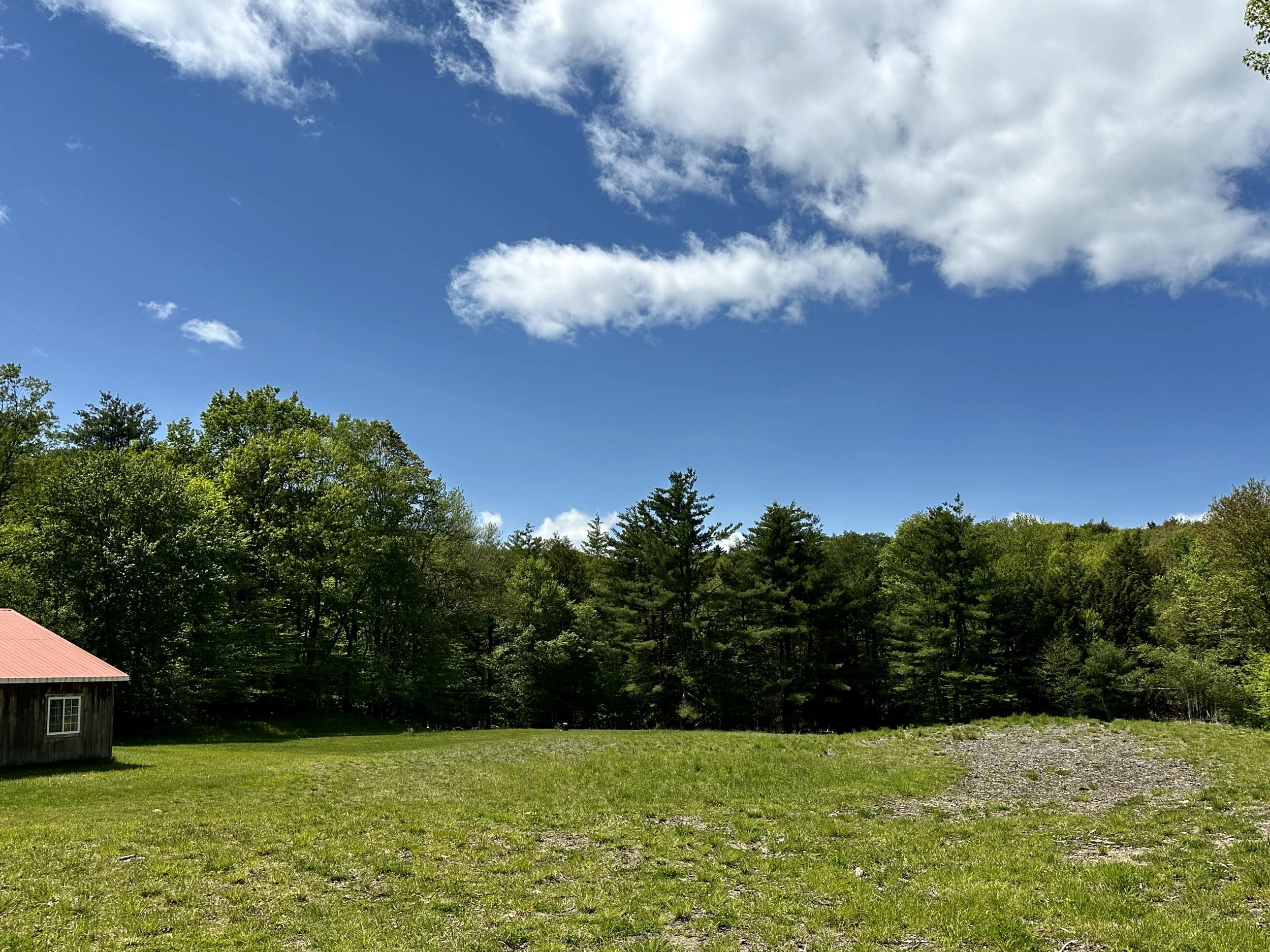 Meadow