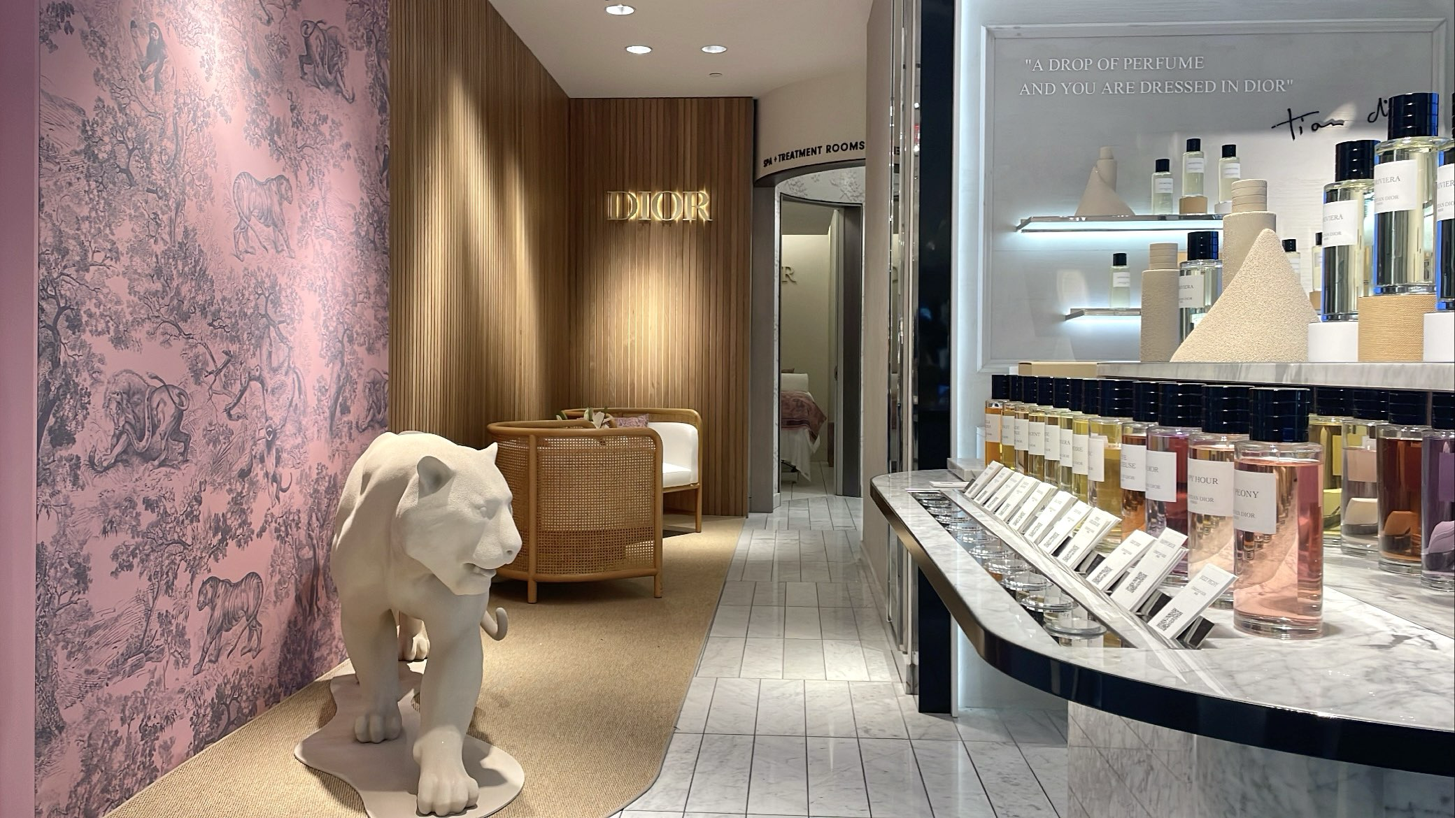 Pasted Graphic 168.png