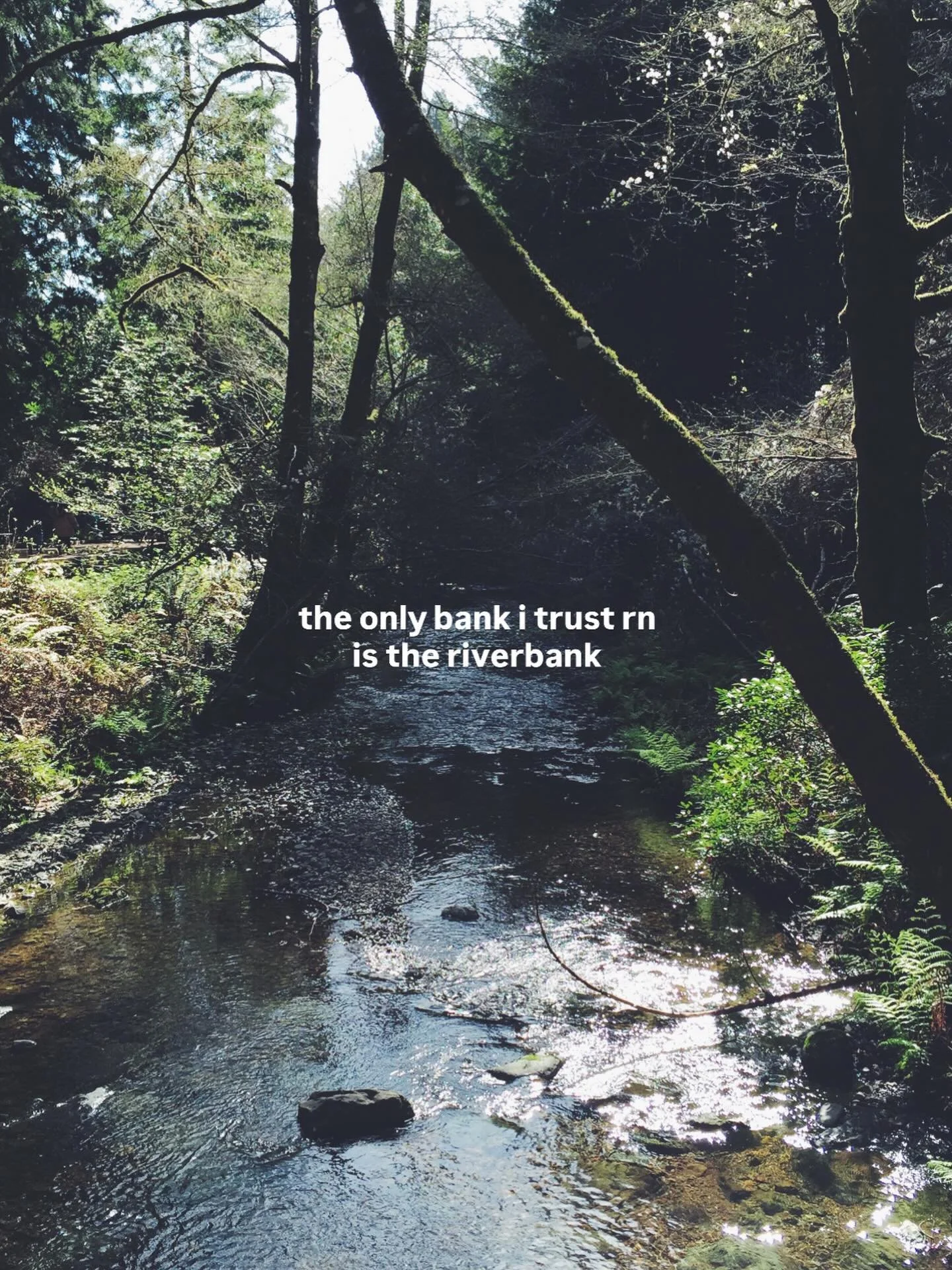 in rivers we trust 🤘🏽

#environment #ecology #river #earth