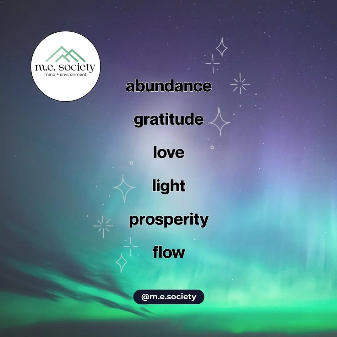 november was high vibe 💜✨

#gratitudeseason