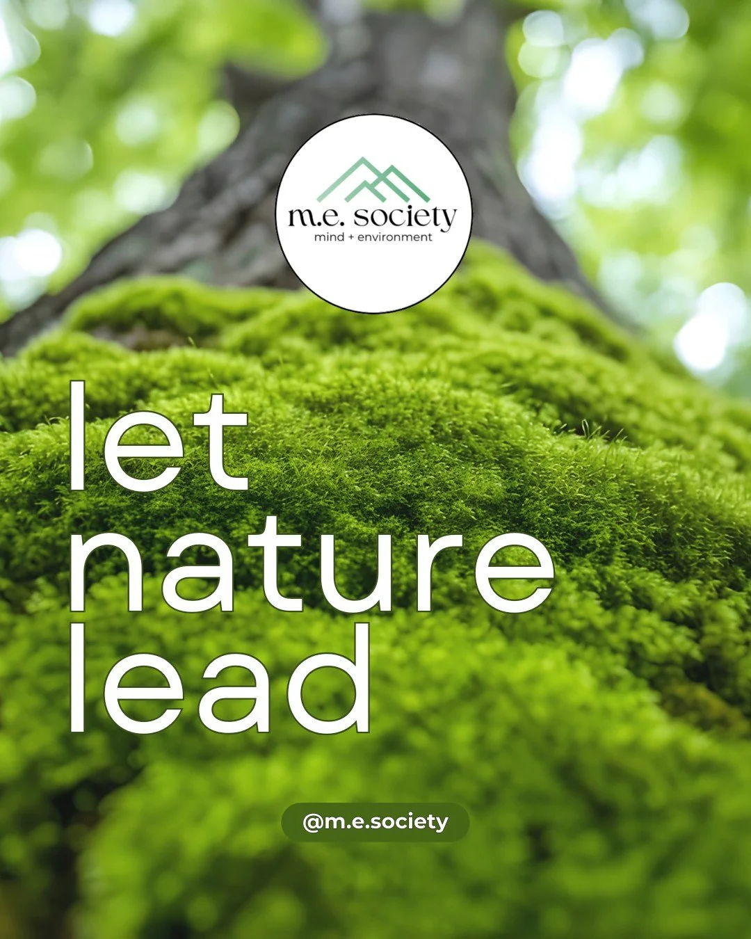 nature as model, always
🌳🦉🦋🕸️🌦️

#nature #sustainability #environment