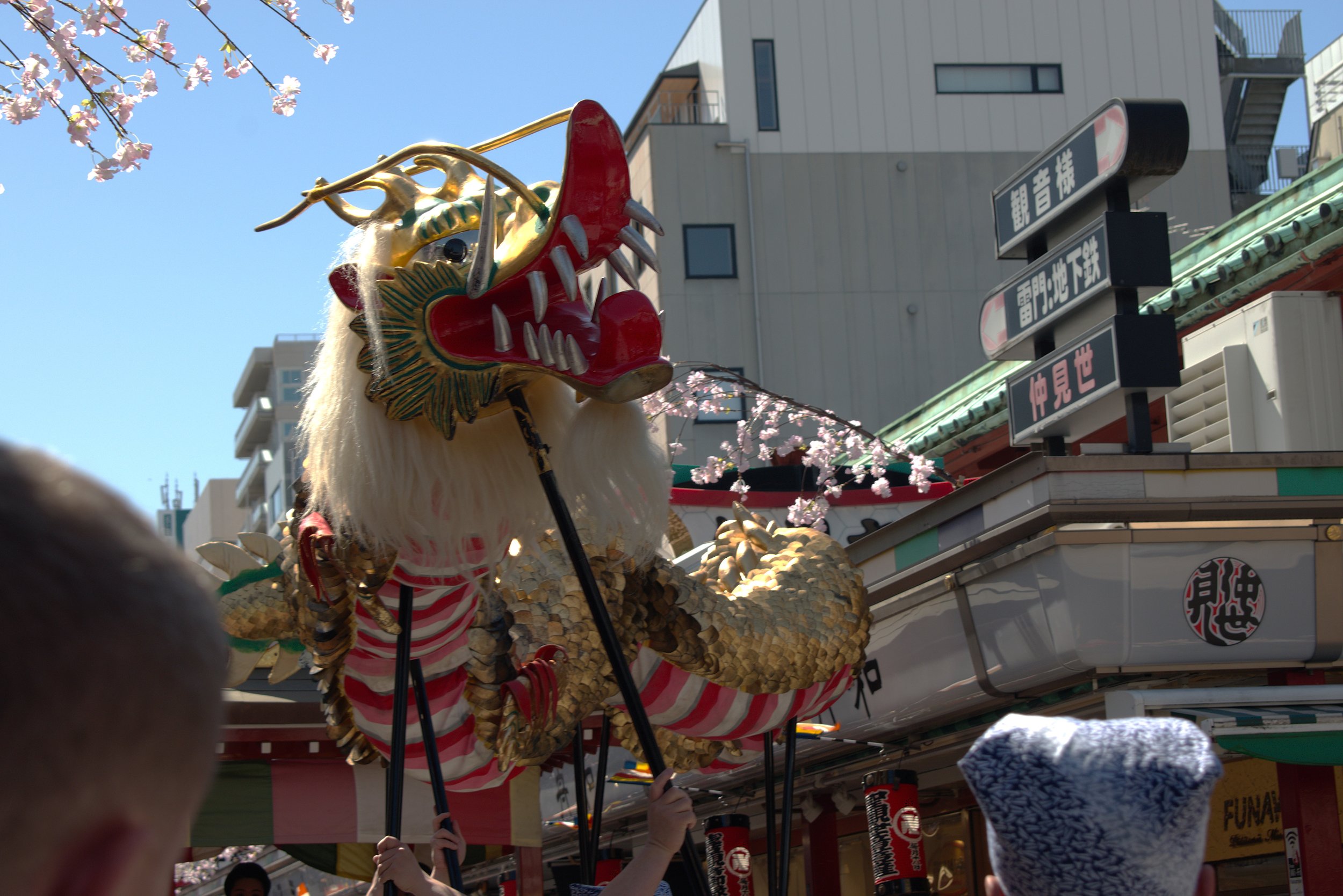 Sensoji Golden Dragon Dance, Japan, 2024: Nikon D3500 24.2MP DSLR
