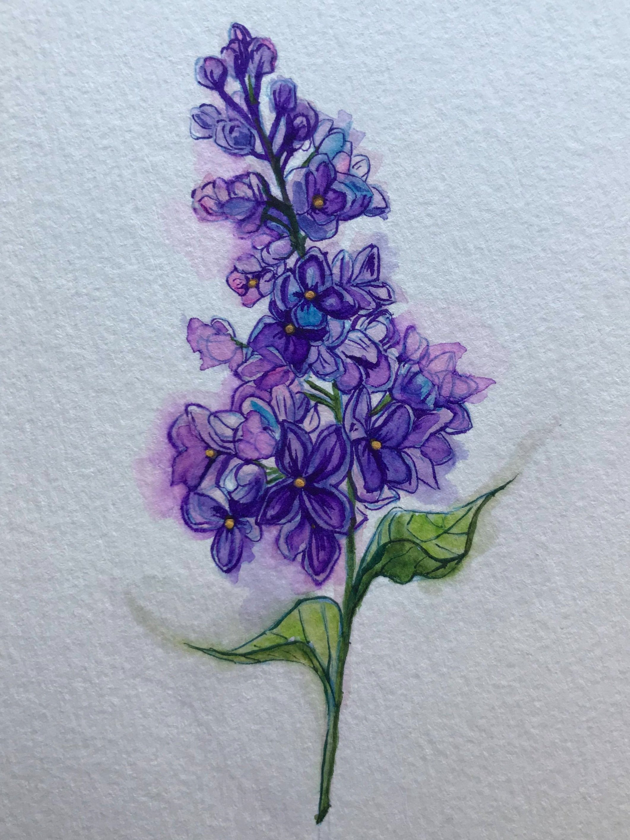 Violet's on a Single Stem in Watercolor for a Client as a Memorial Tattoo for Her Late Mother