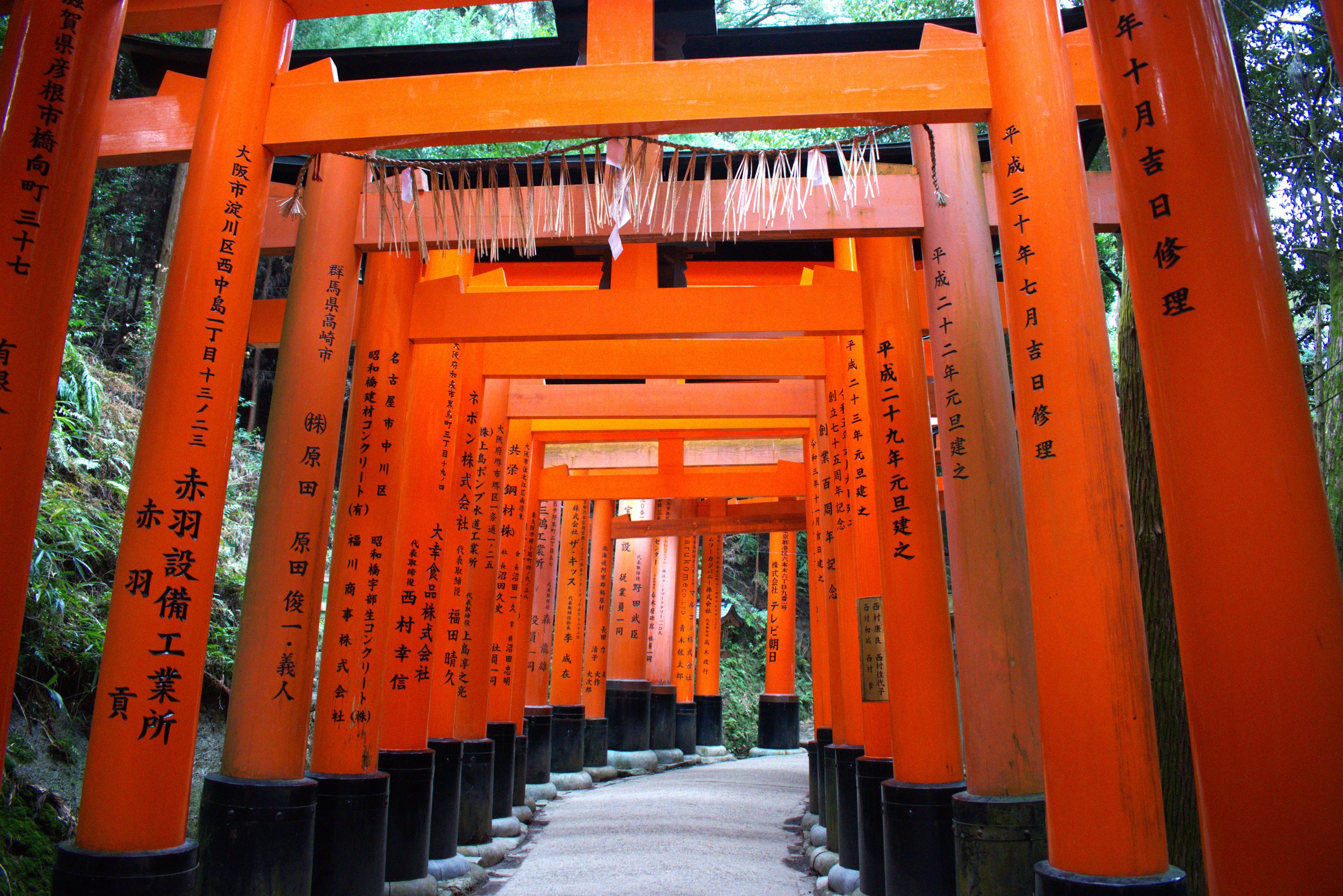 Red Gates in Kyoto, Japan, 2024: Nikon D3500 24.2MP DSLR