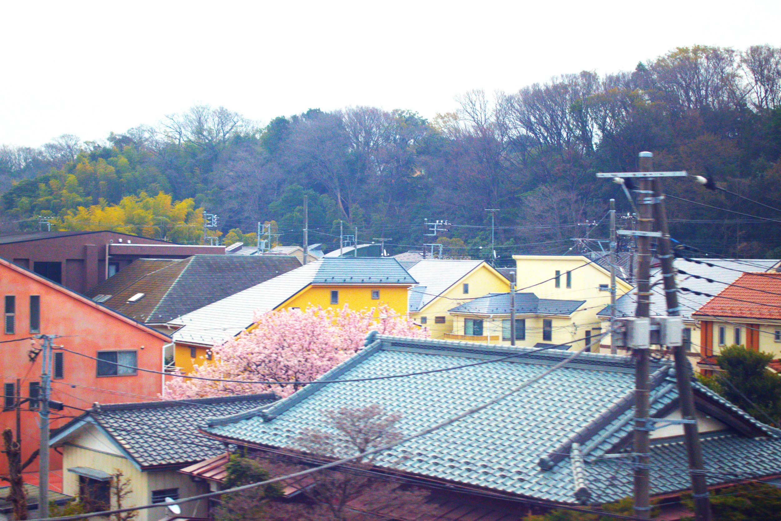 Suburbian Colorful Homes, A View From the Train, Japan, 2024: Nikon D3500 24.2MP DSLR