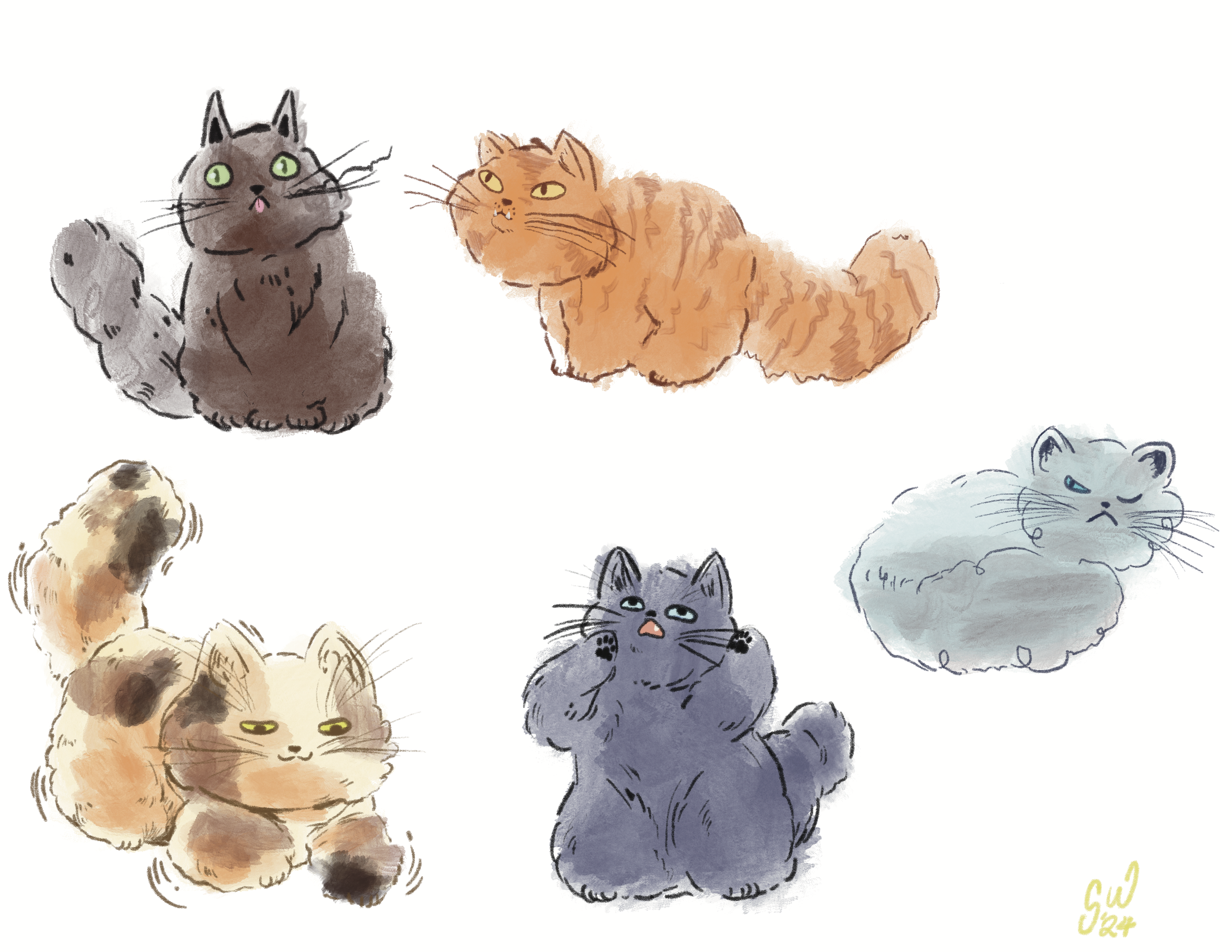 Behaviors of Different Colorations of Domestic Cats, Procreate